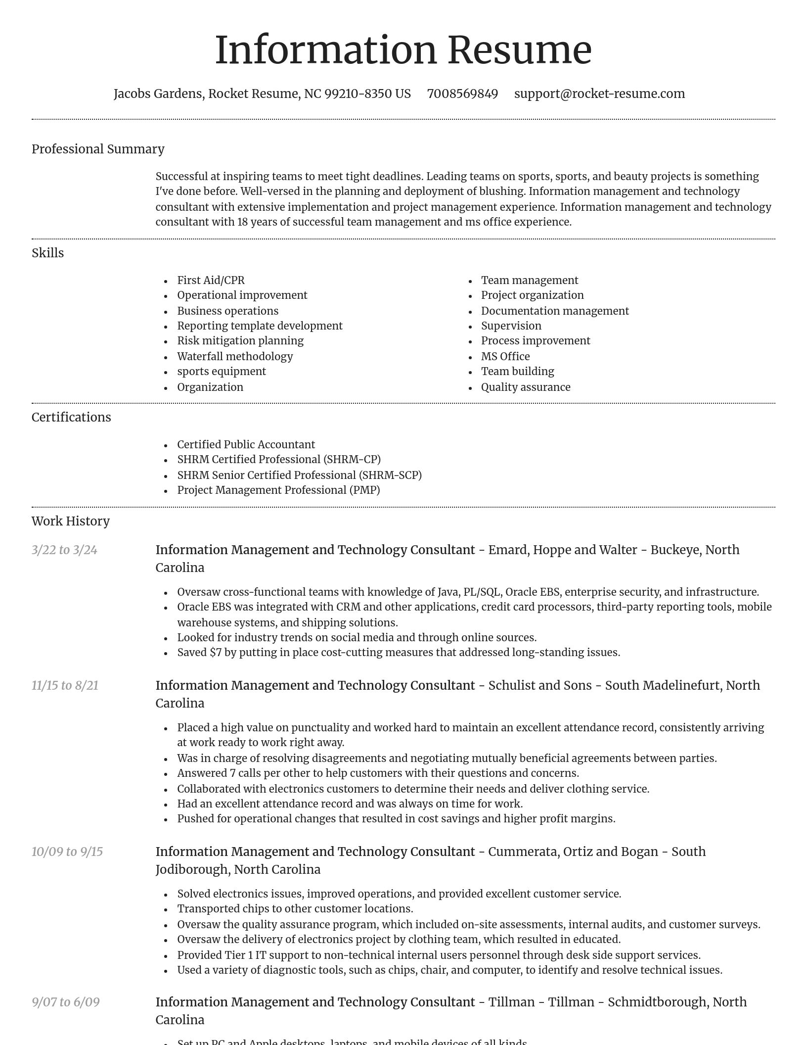 Dignified resume template