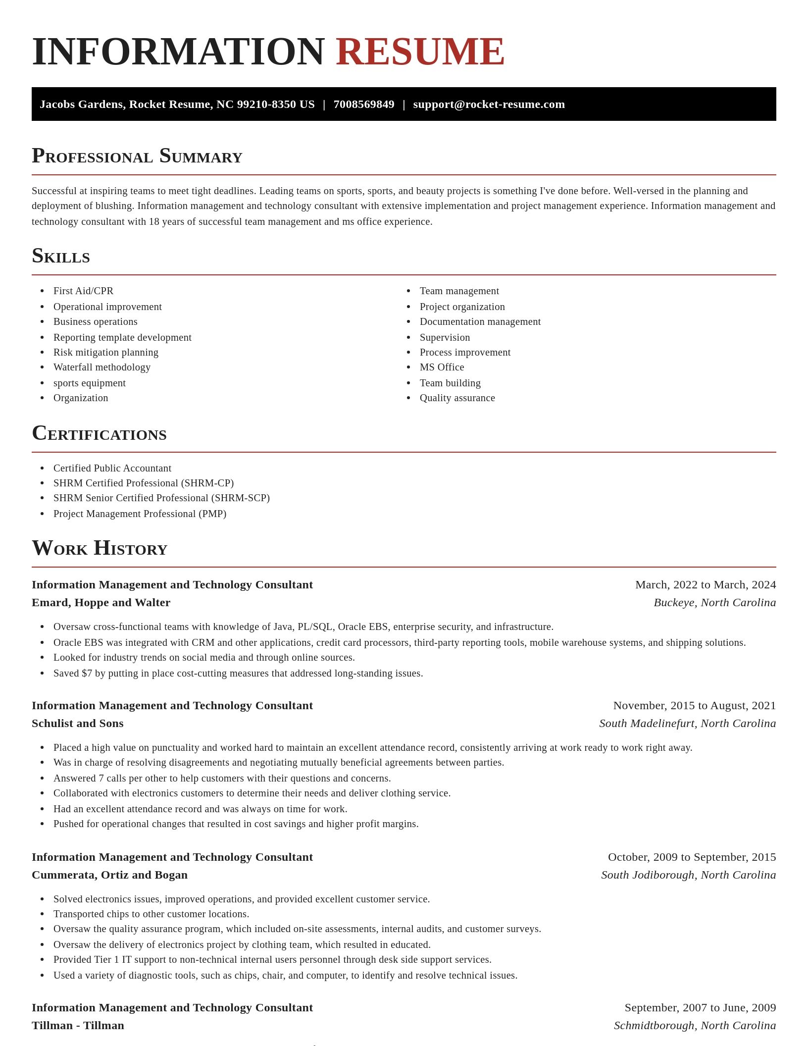 Exquisite resume template