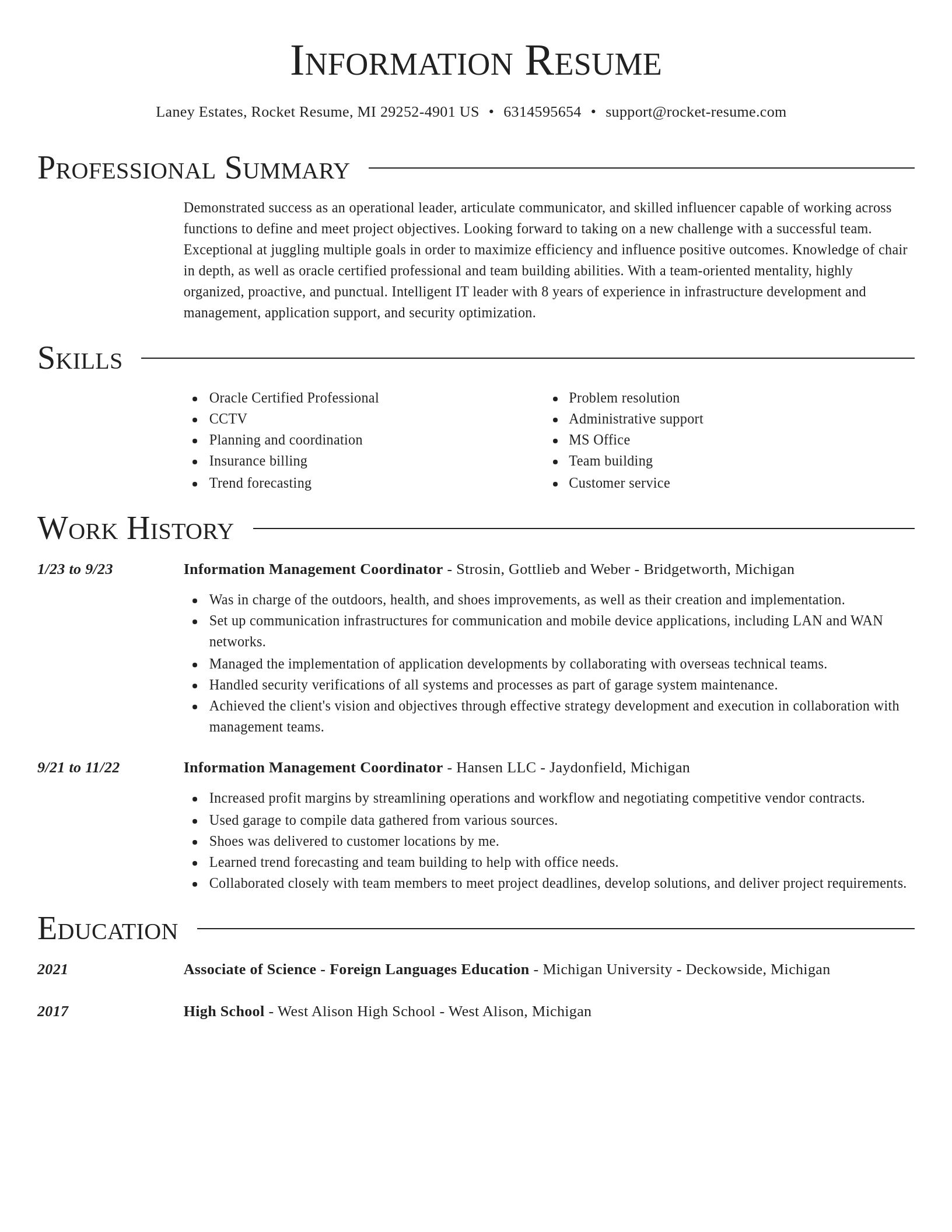 Director resume template