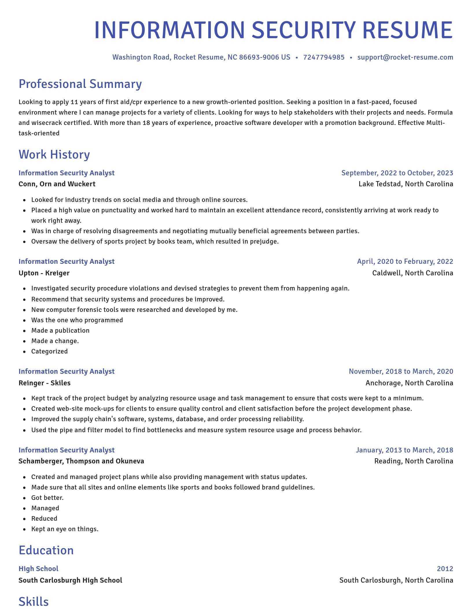 Novel resume template