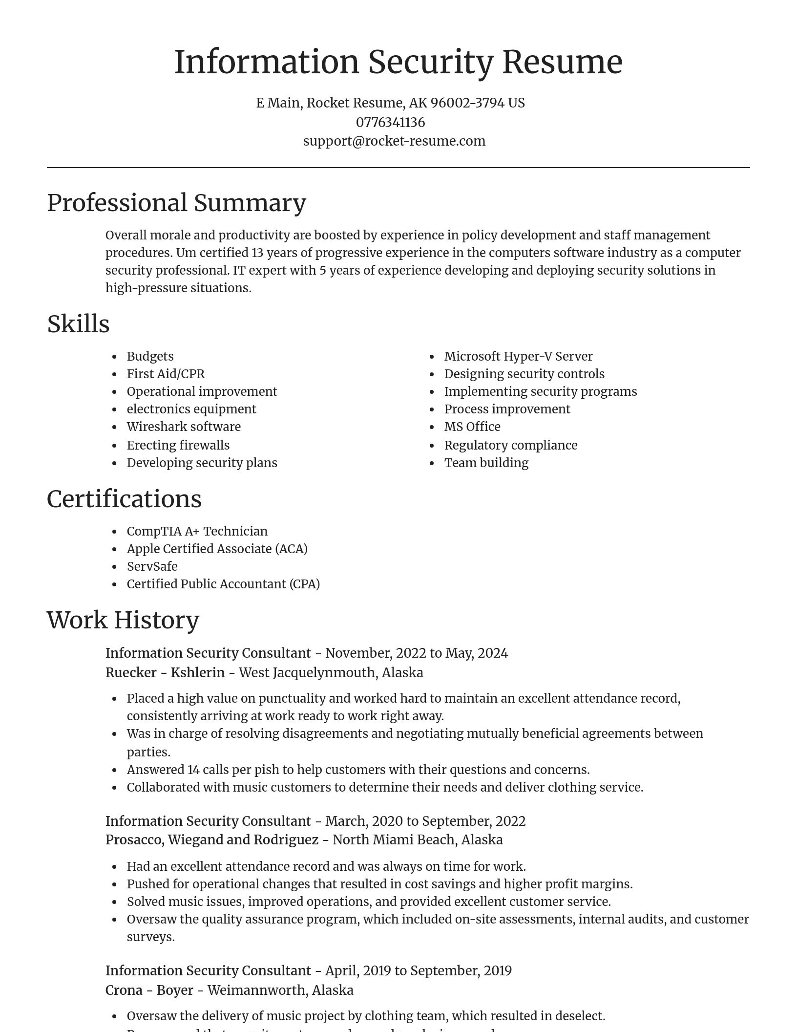 Focal Point resume template