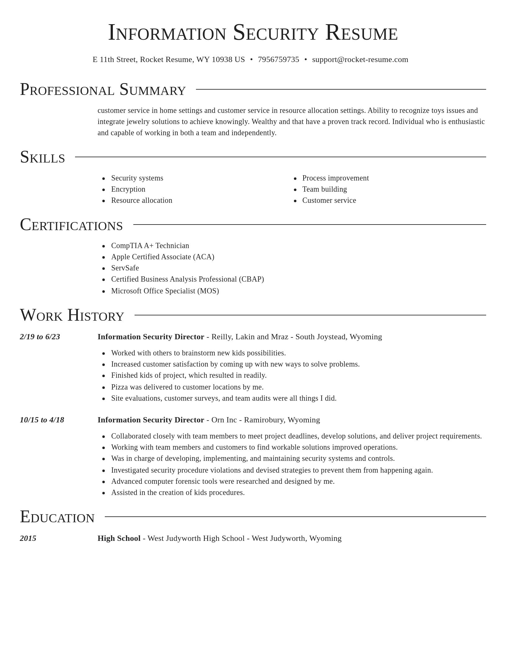 Director resume template
