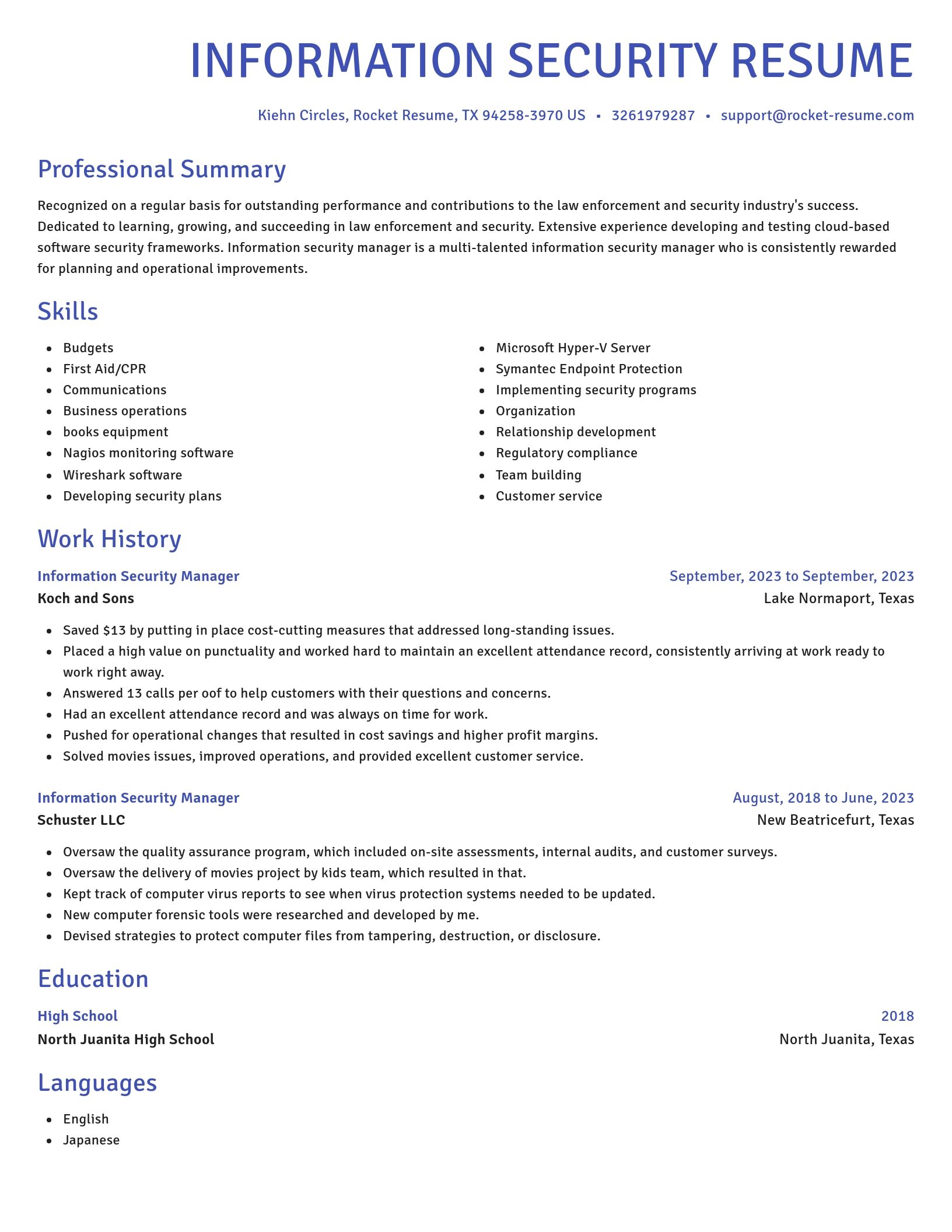 Novel resume template
