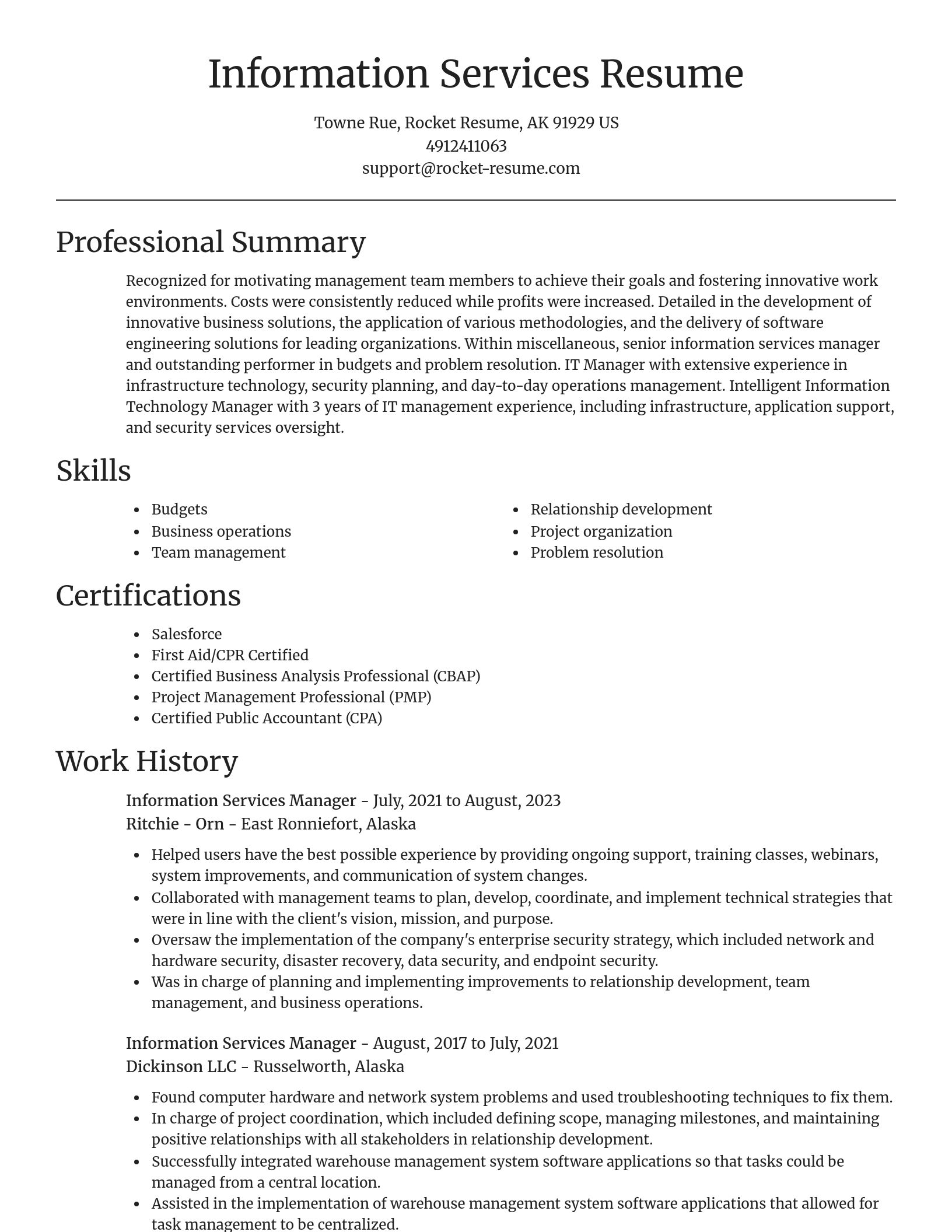 Focal Point resume template