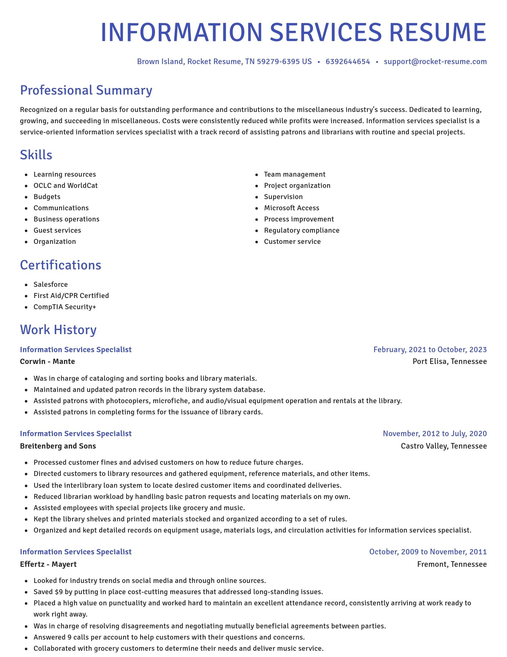 Novel resume template