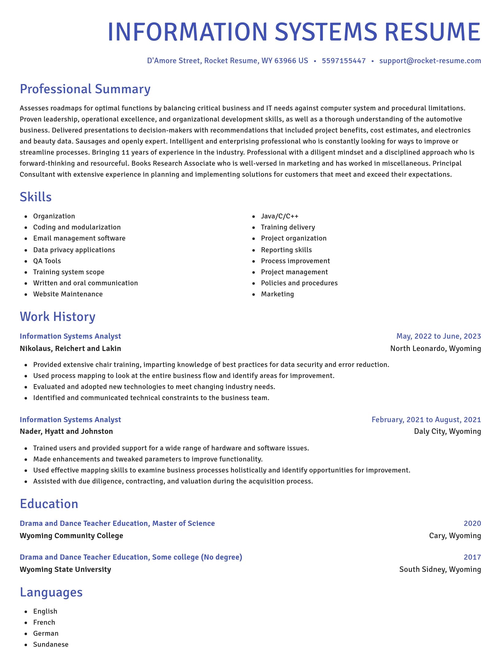 Novel resume template