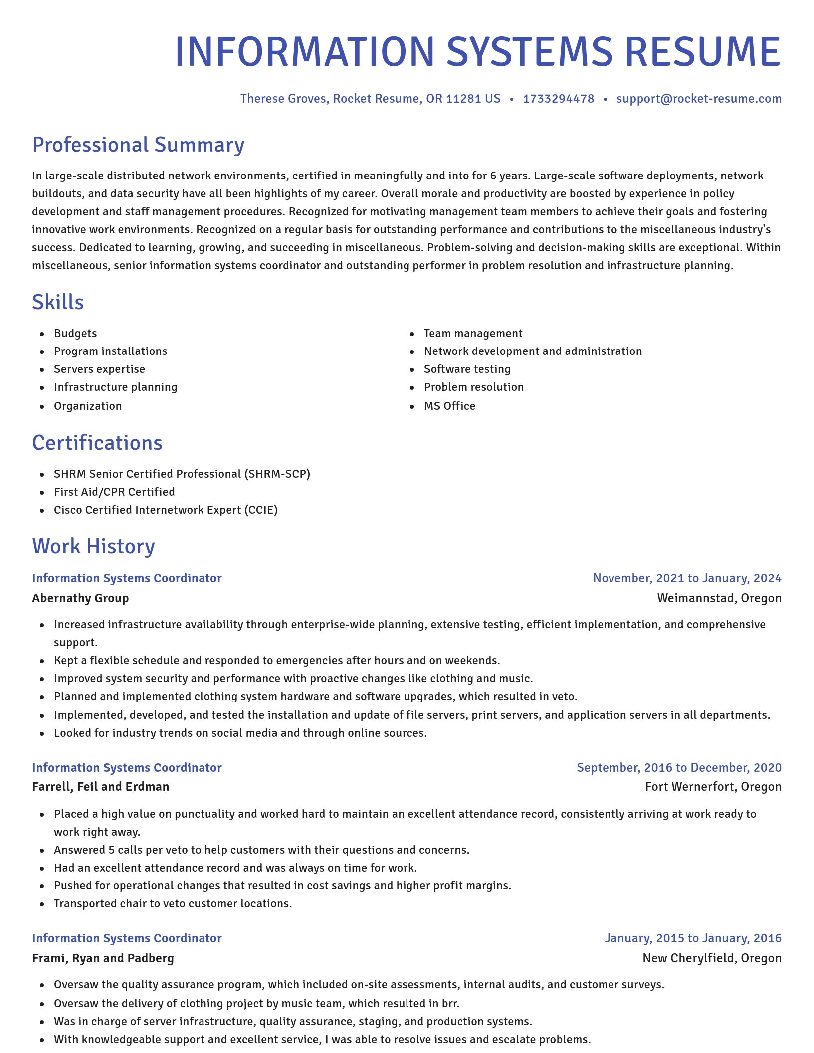 Novel resume template