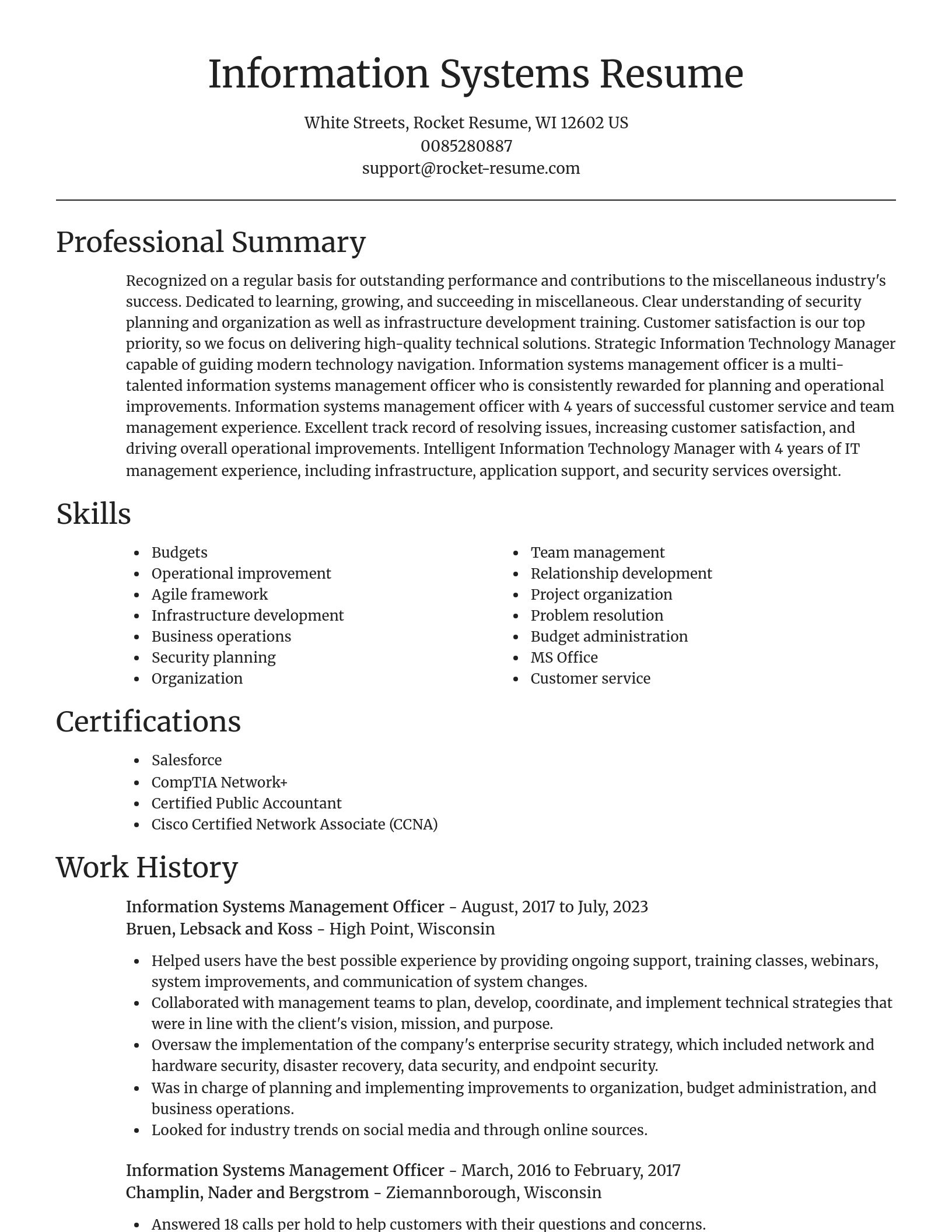 Focal Point resume template