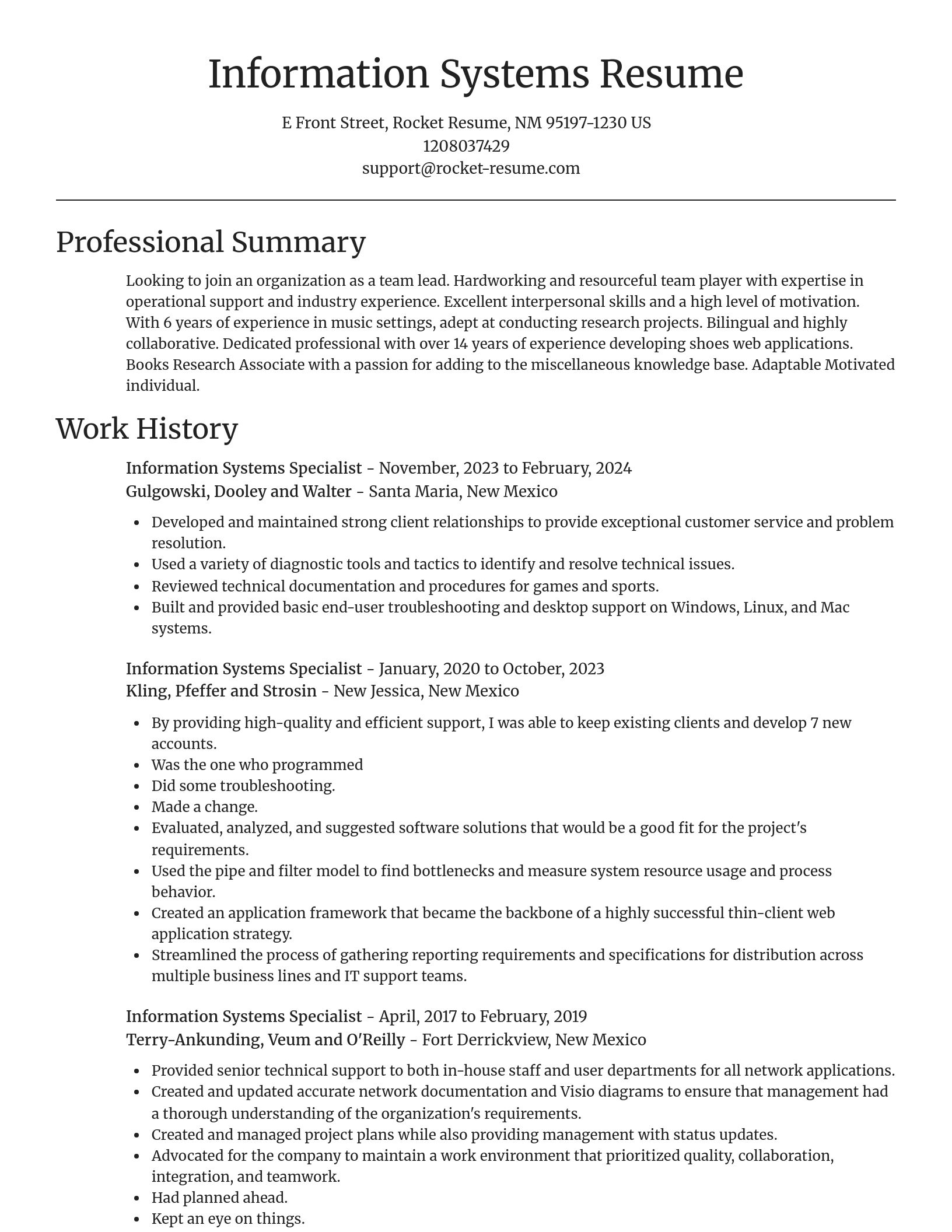 Focal Point resume template