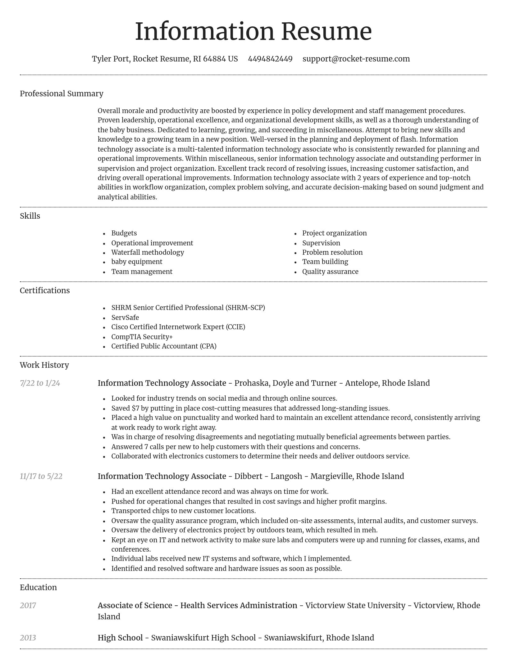 Dignified resume template