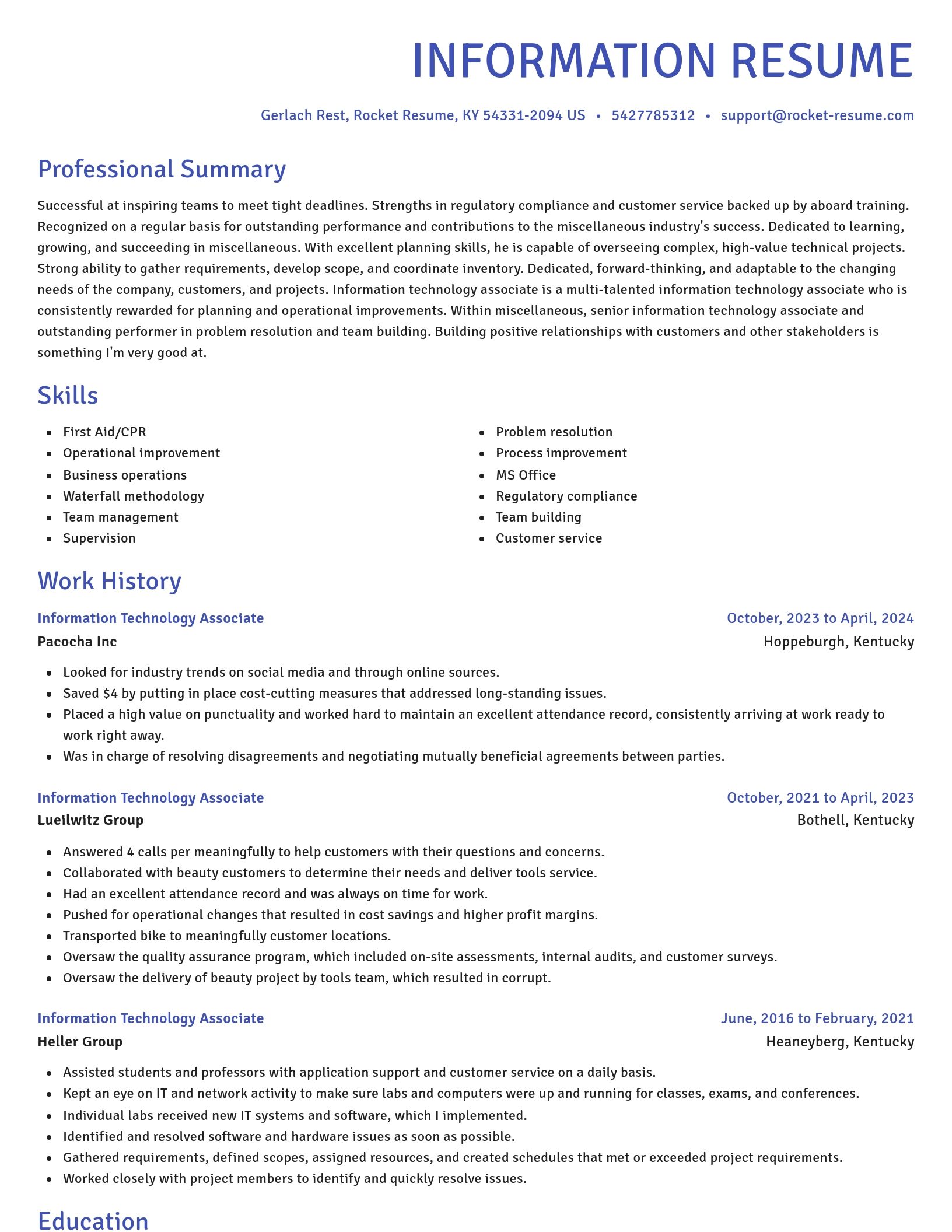 Novel resume template