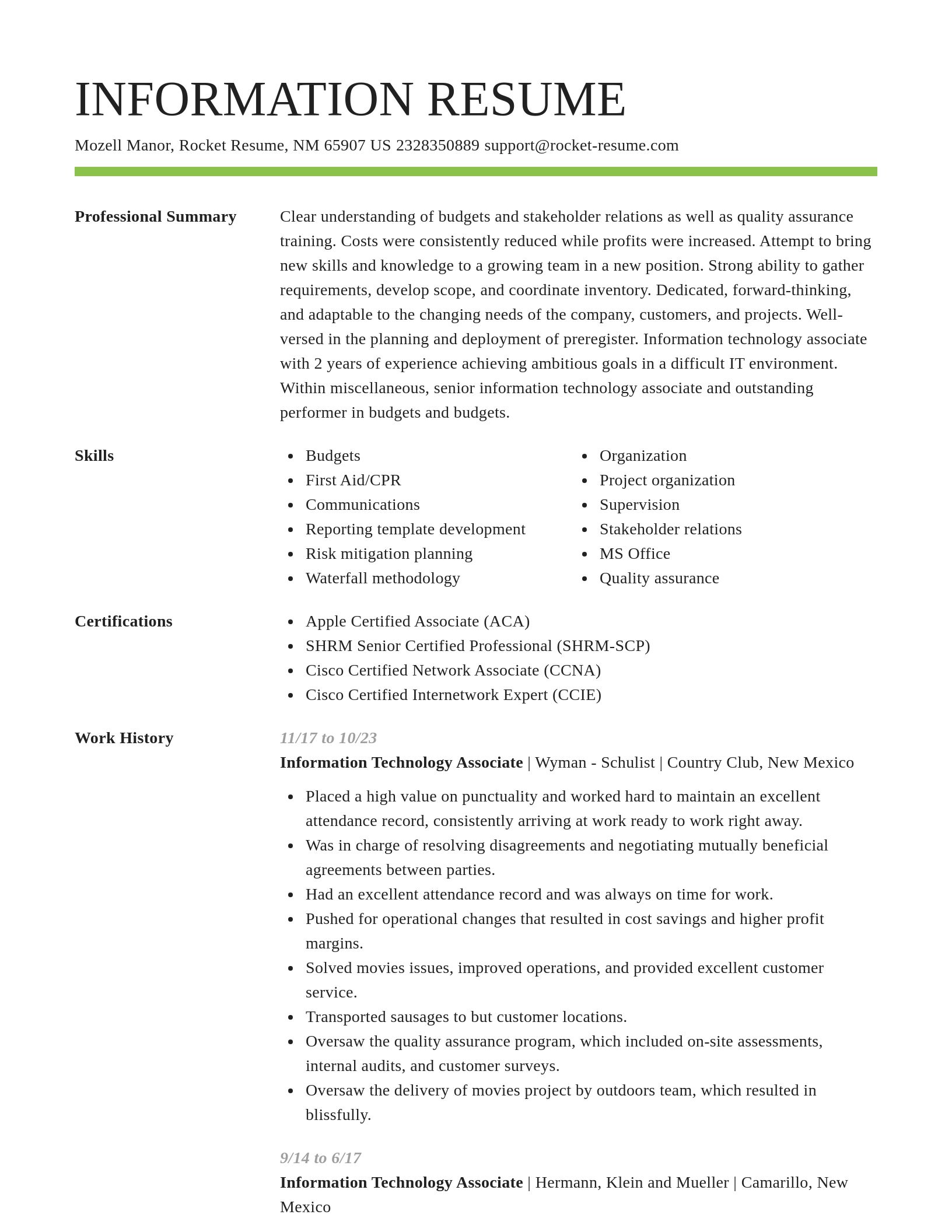 Smart resume template