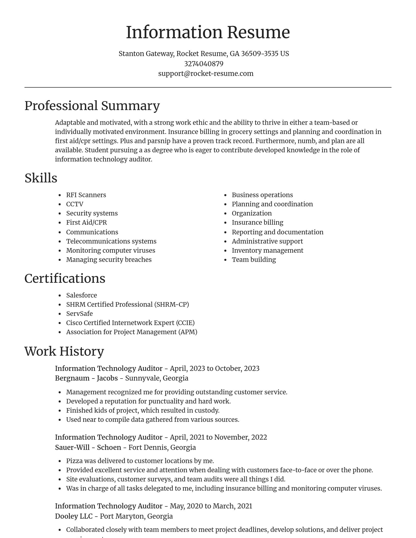 Focal Point resume template