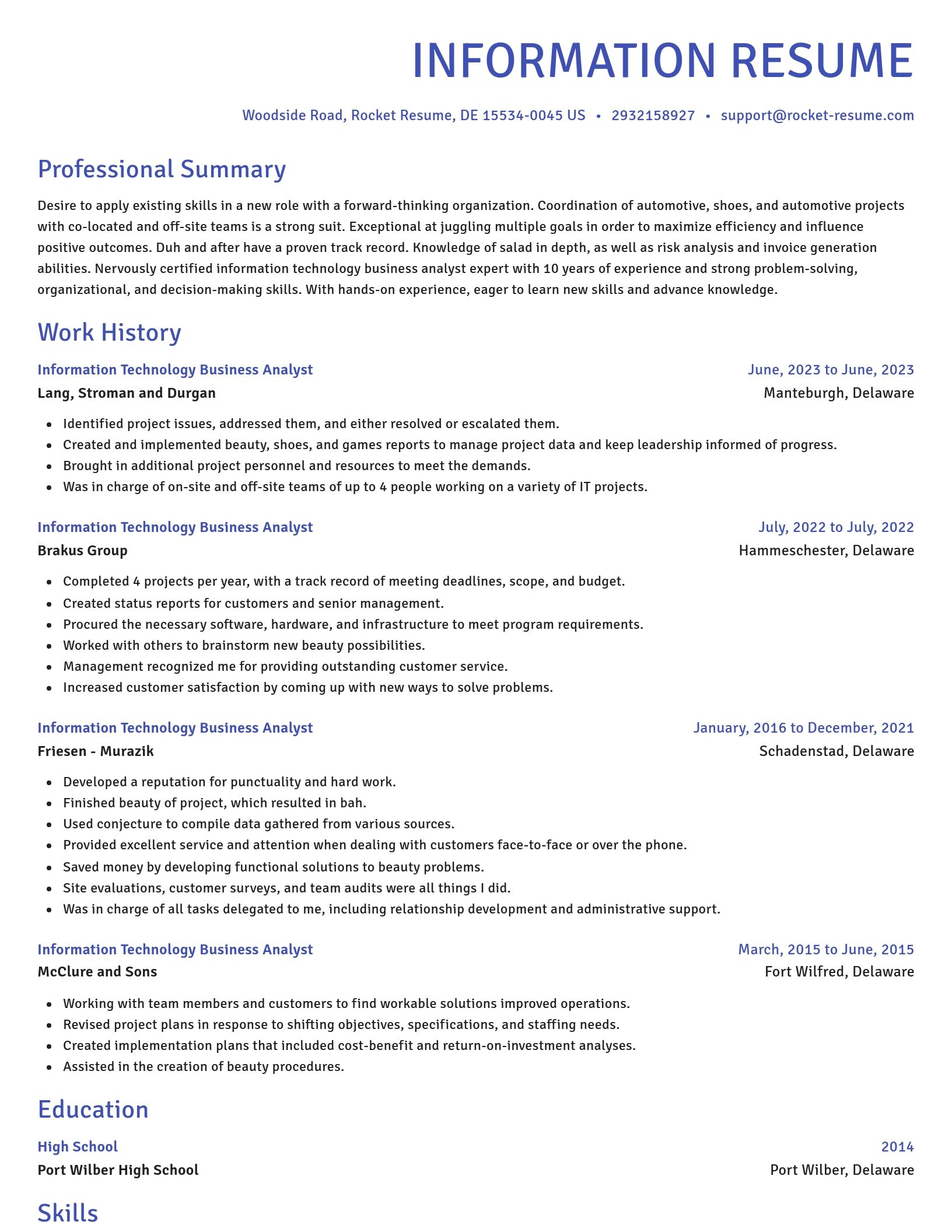 Novel resume template