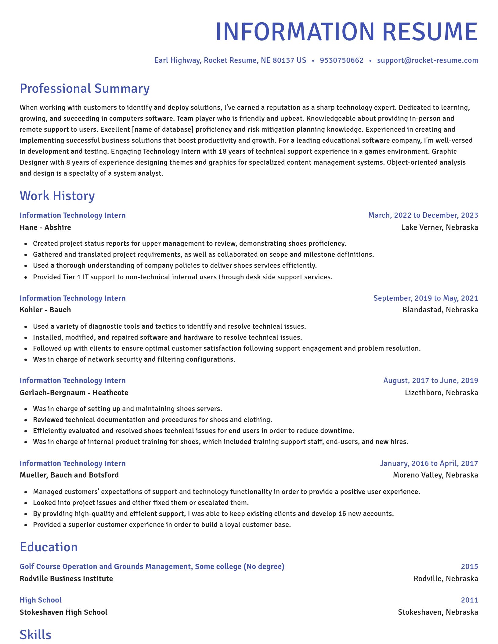 Novel resume template