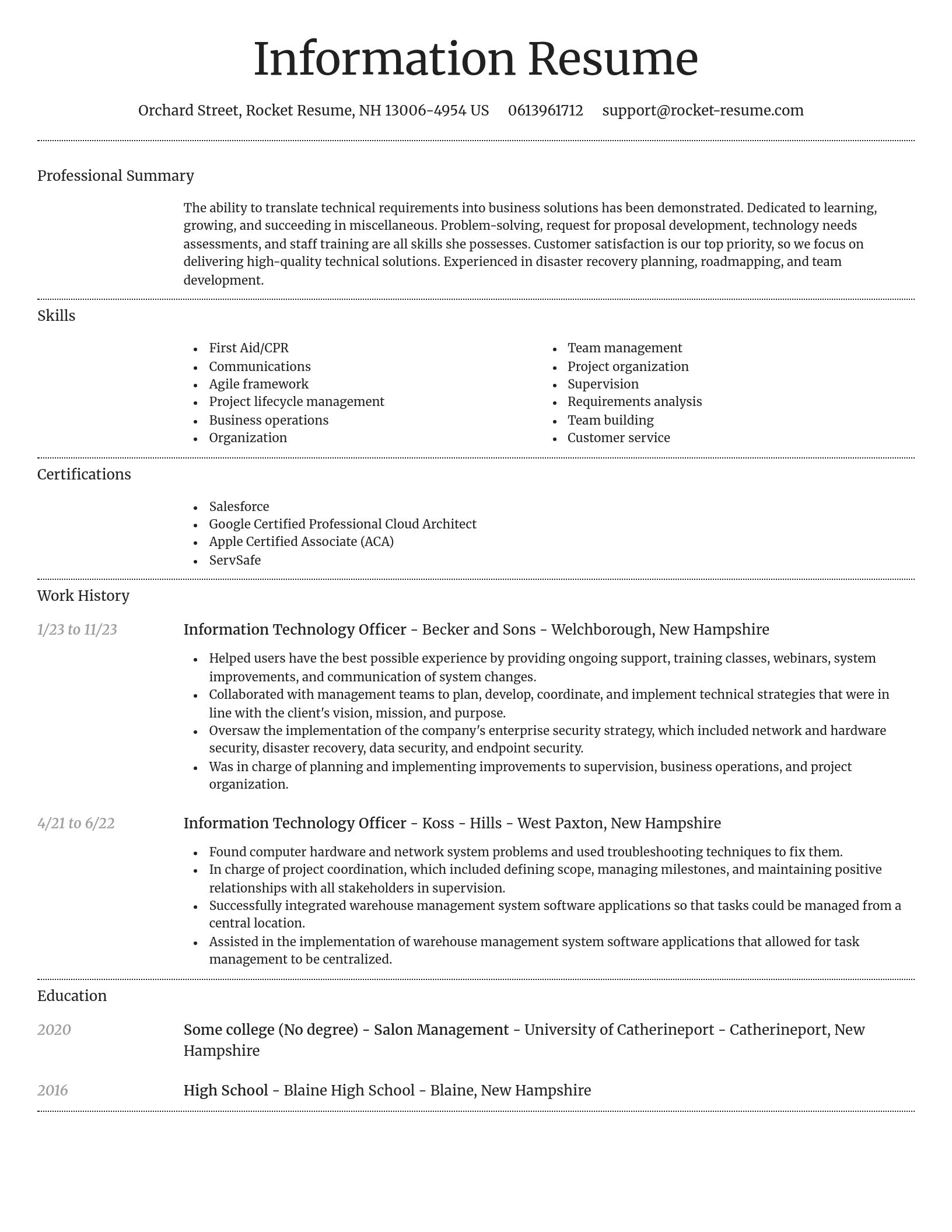 Dignified resume template