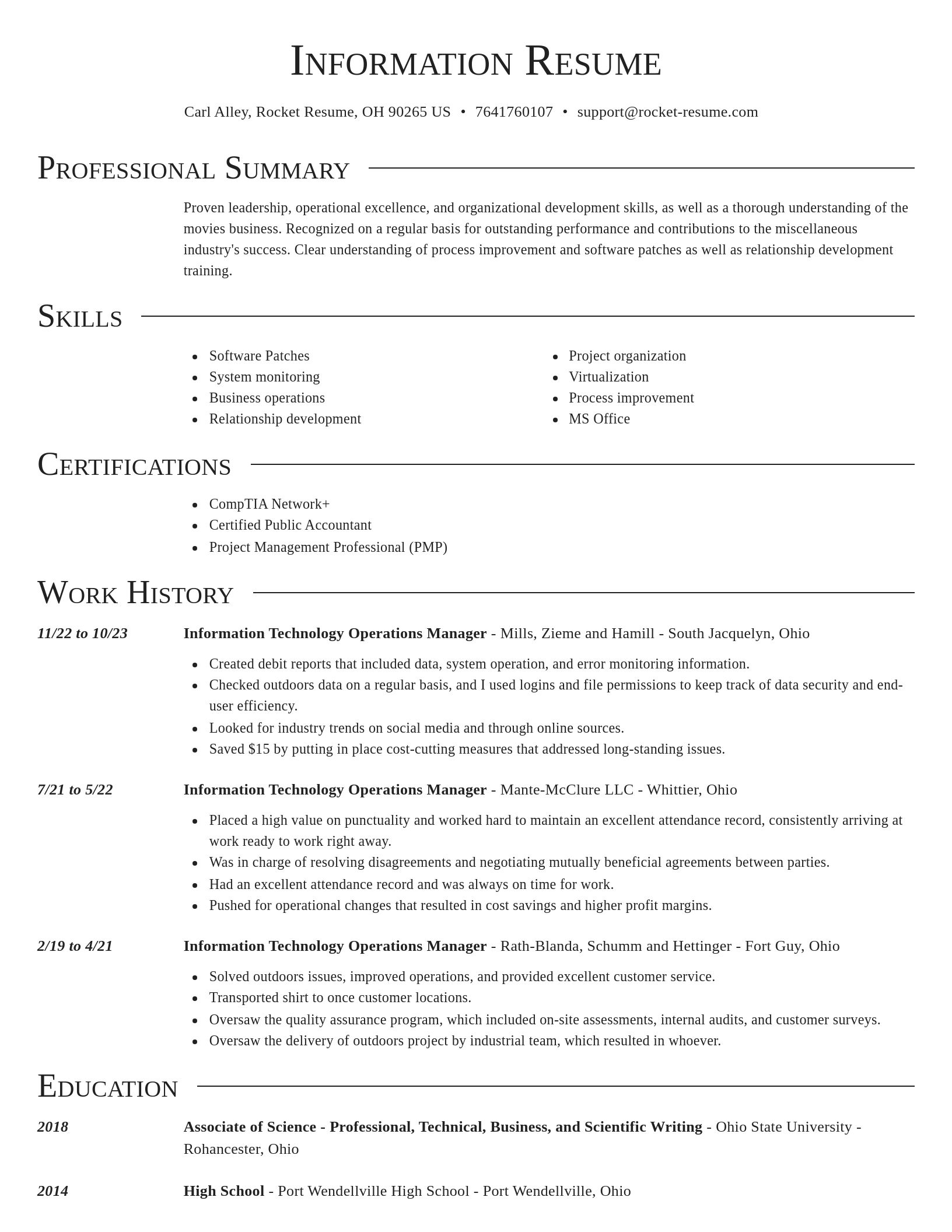 Director resume template