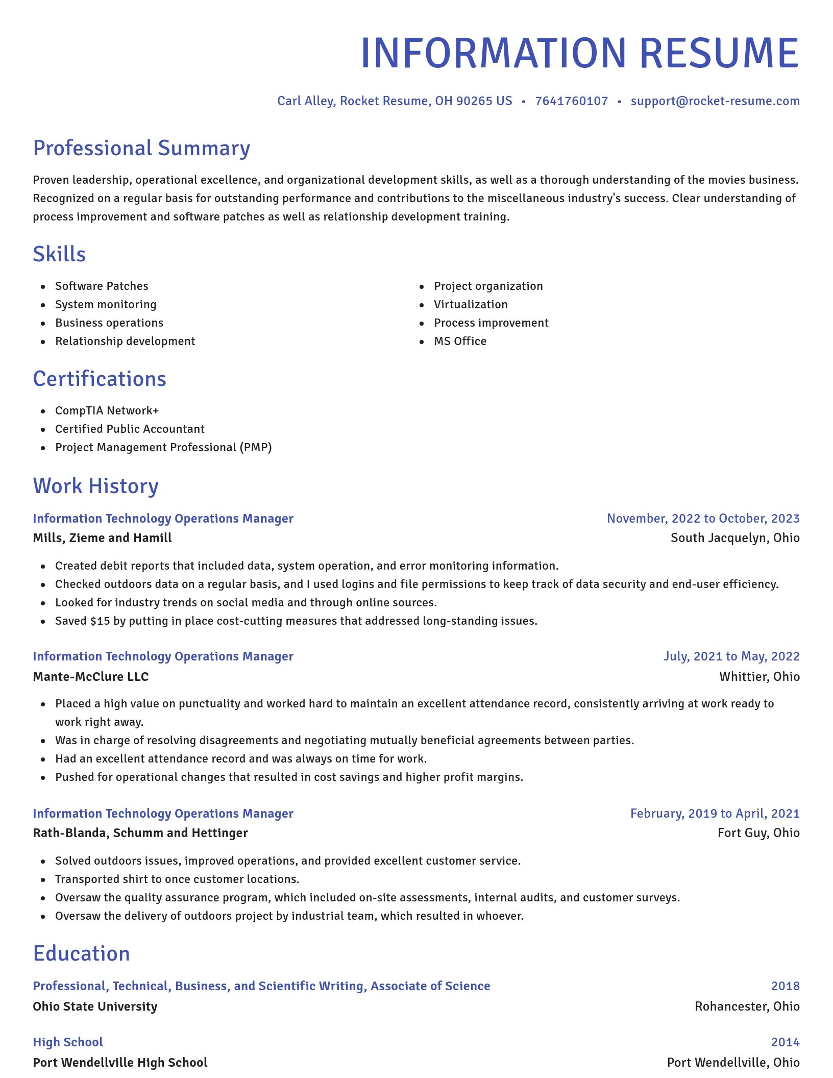 Novel resume template