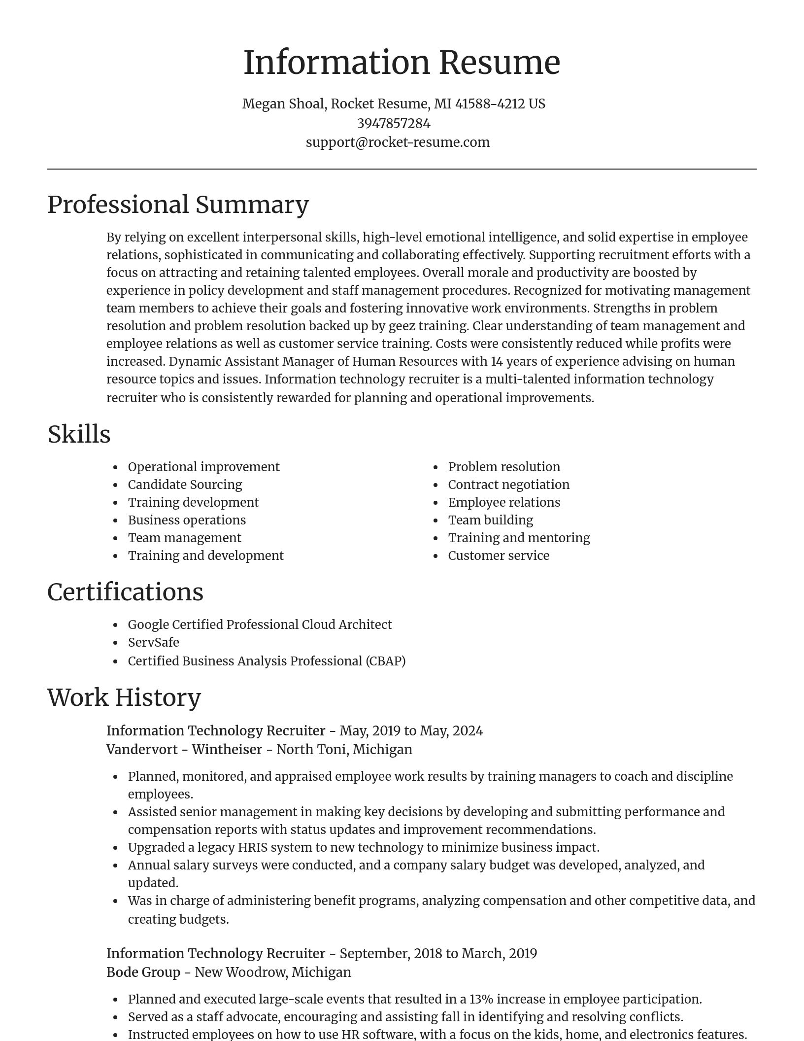 Focal Point resume template