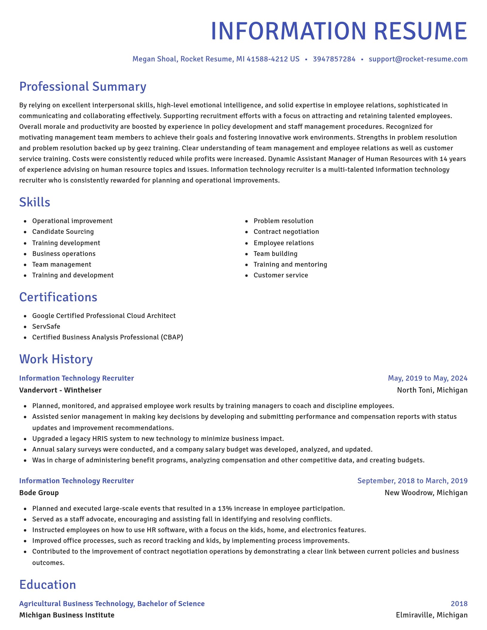 Novel resume template