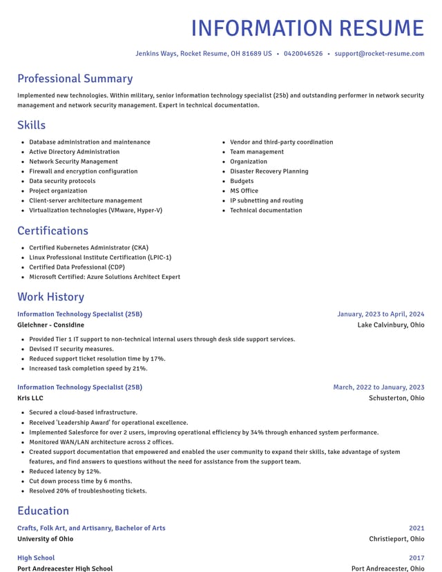 Novel resume template