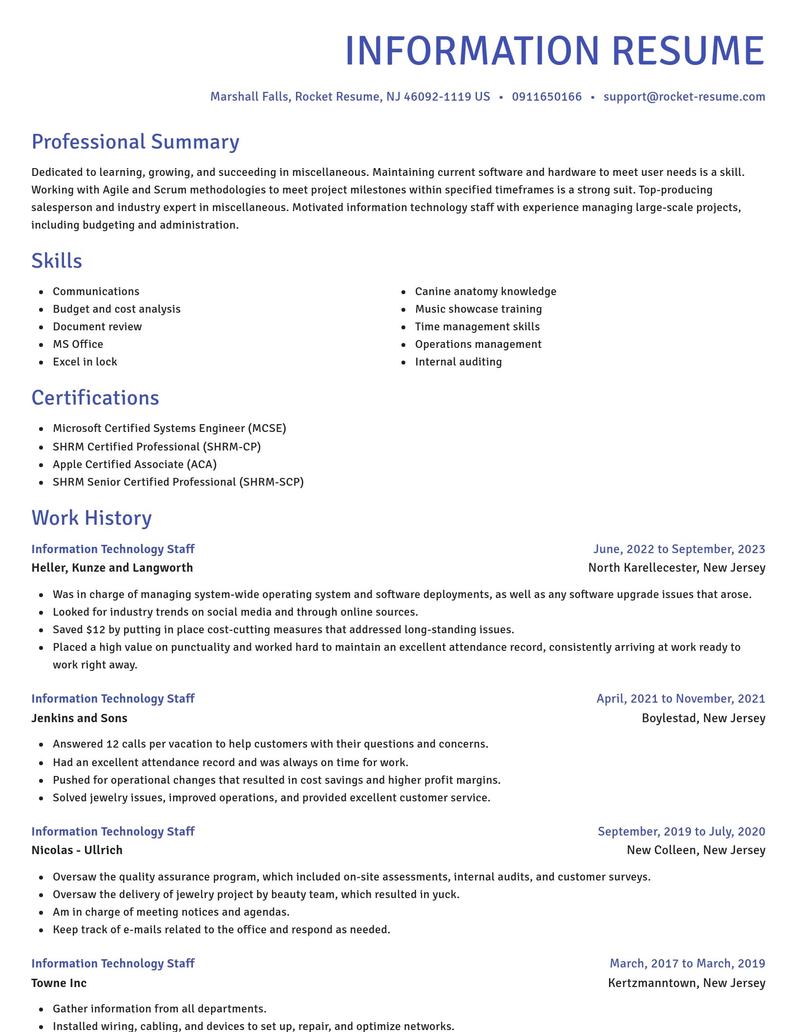 Novel resume template