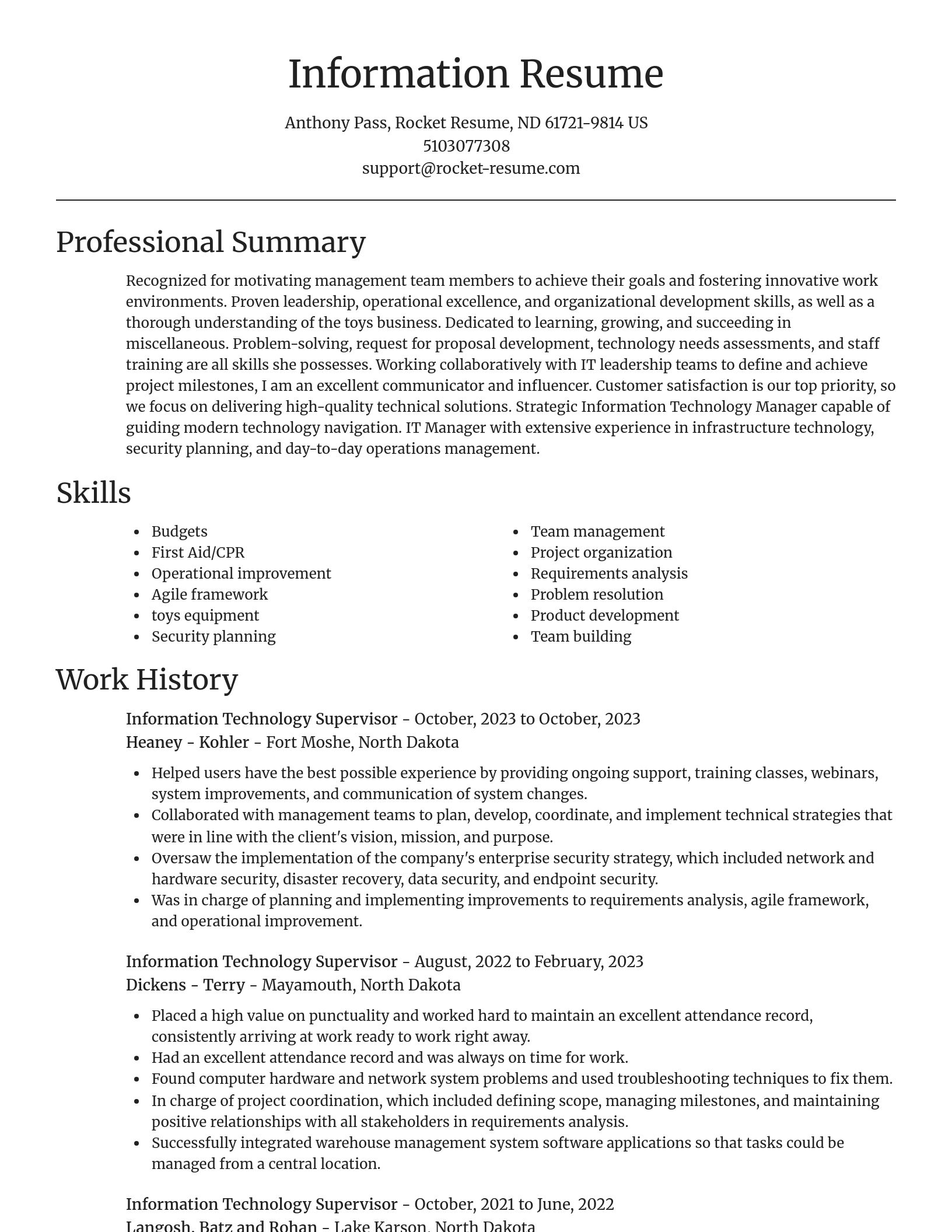 Focal Point resume template