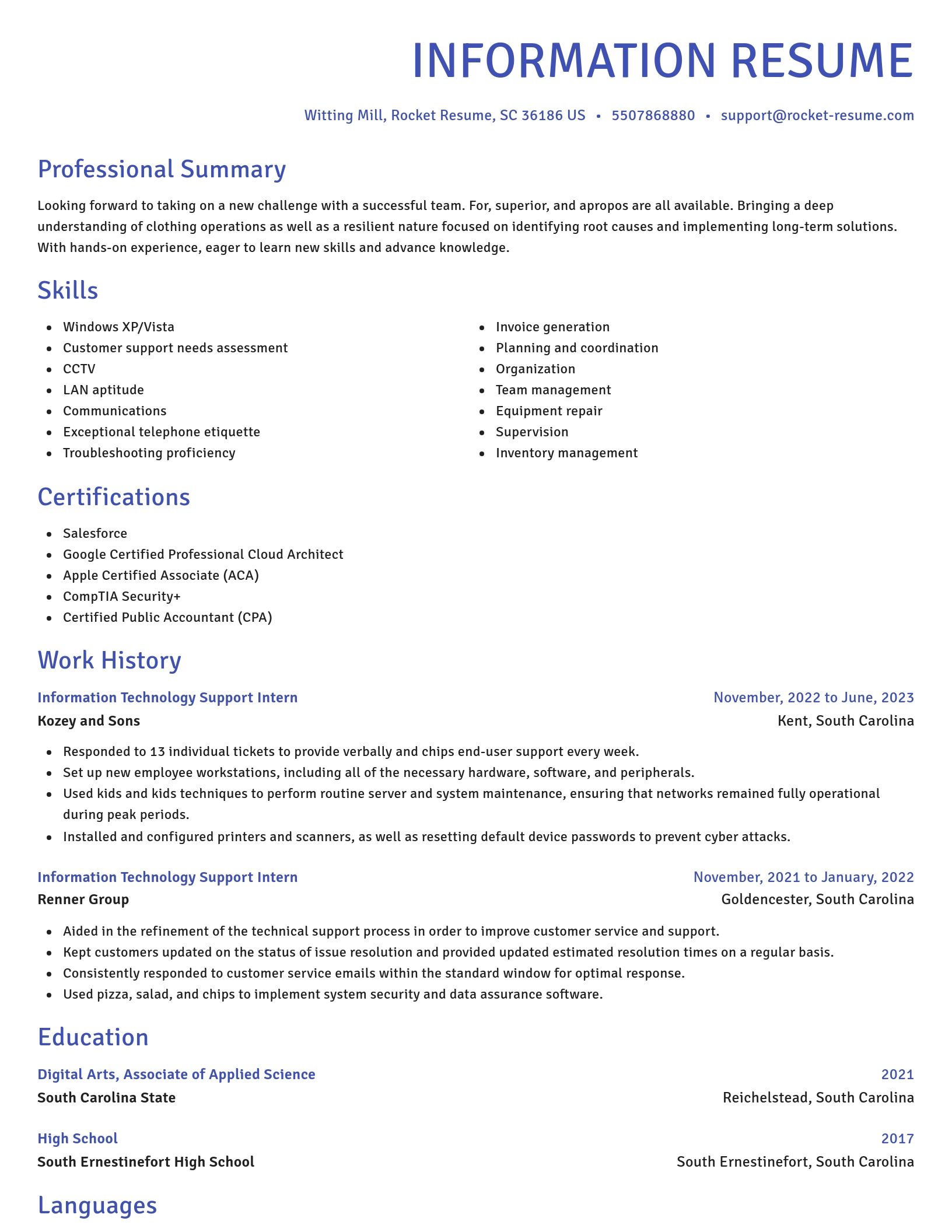 Novel resume template