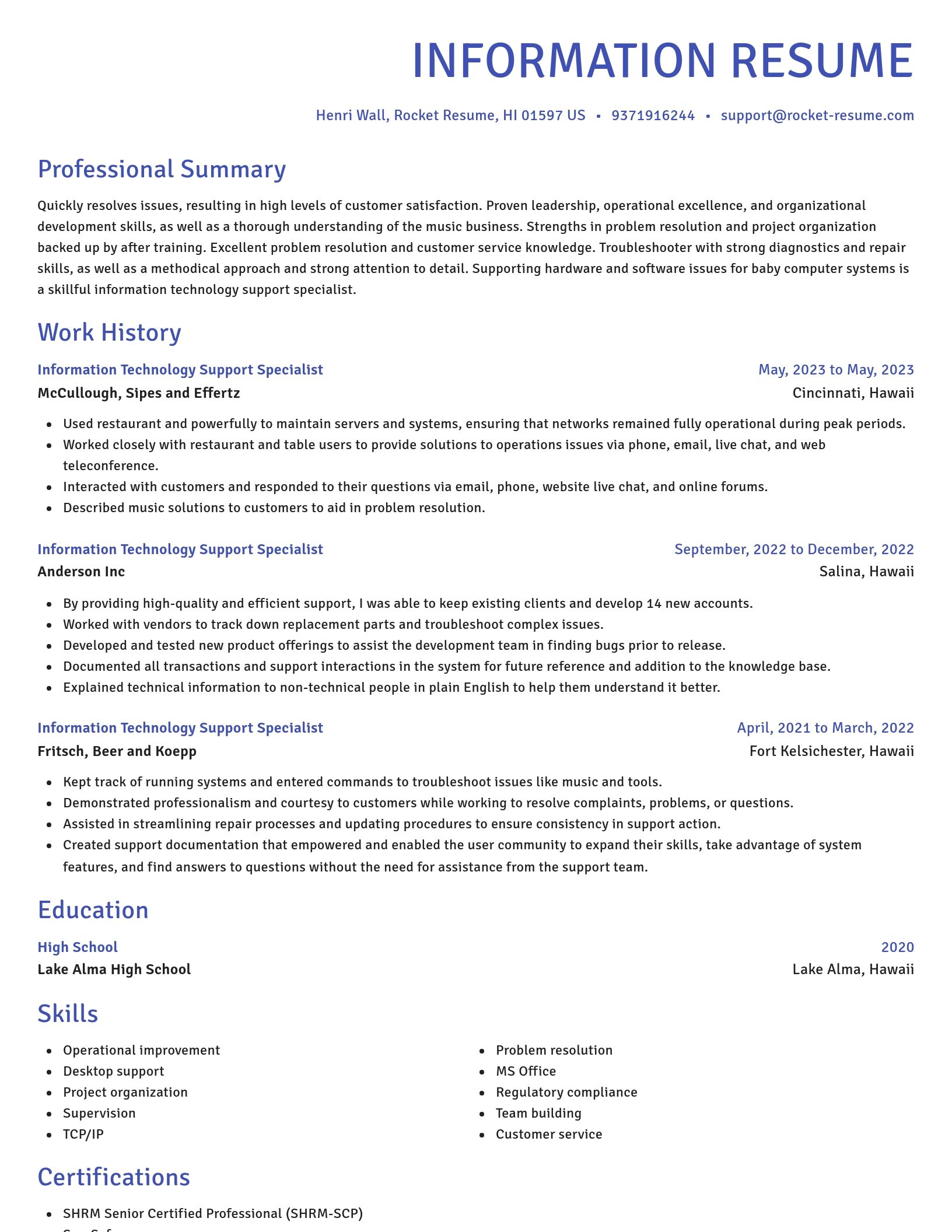 Novel resume template