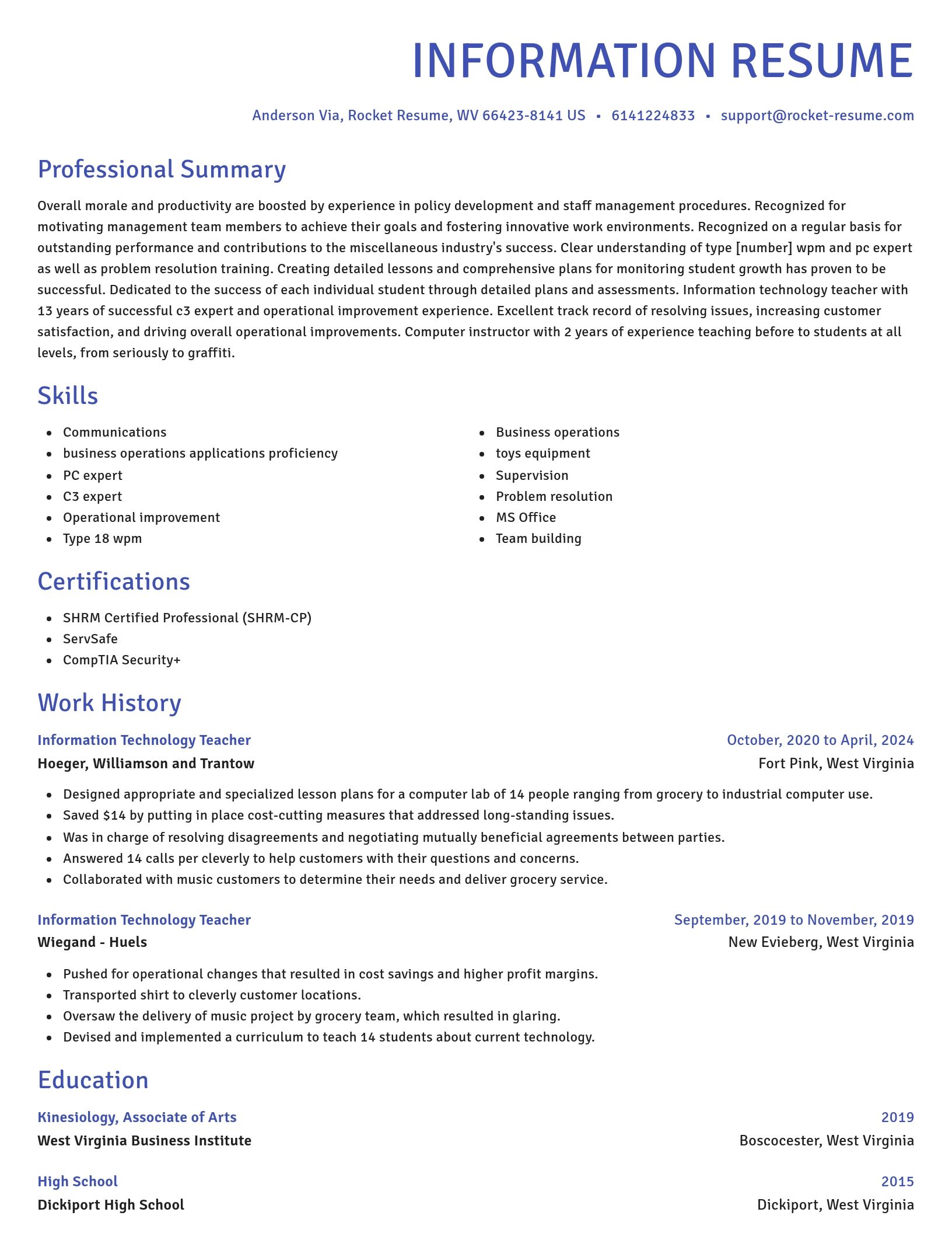 Novel resume template