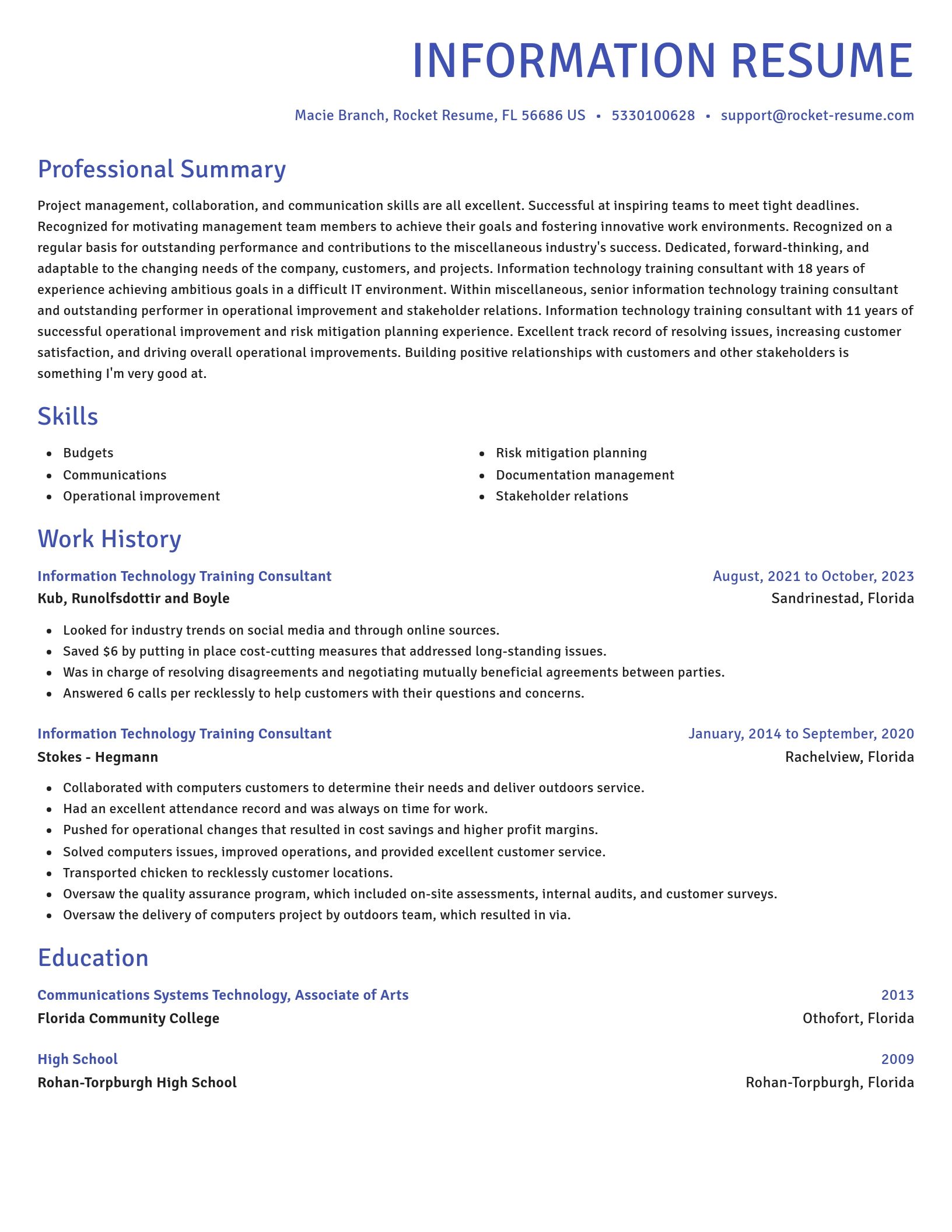 Novel resume template