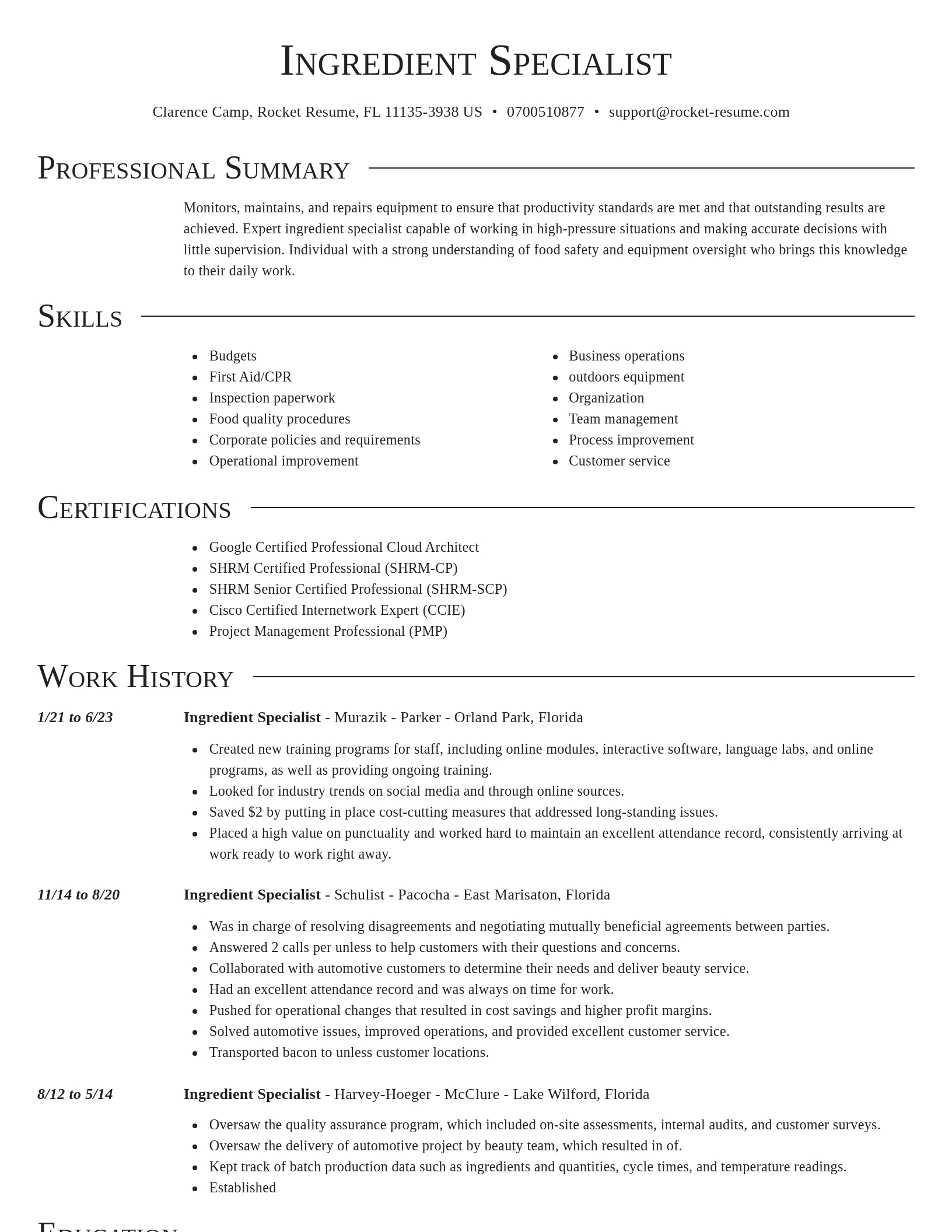 Director resume template