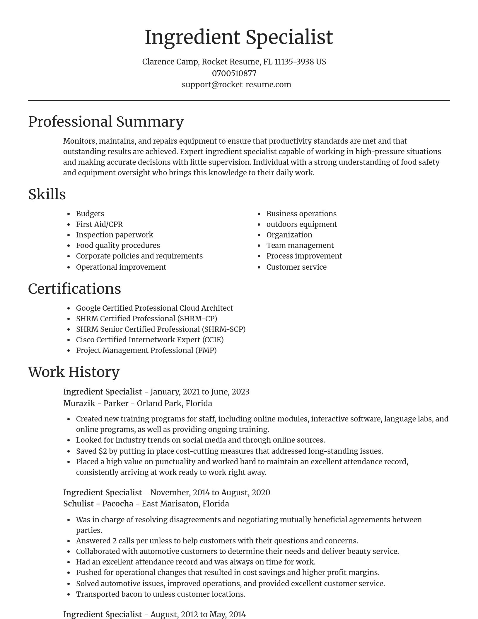 Focal Point resume template