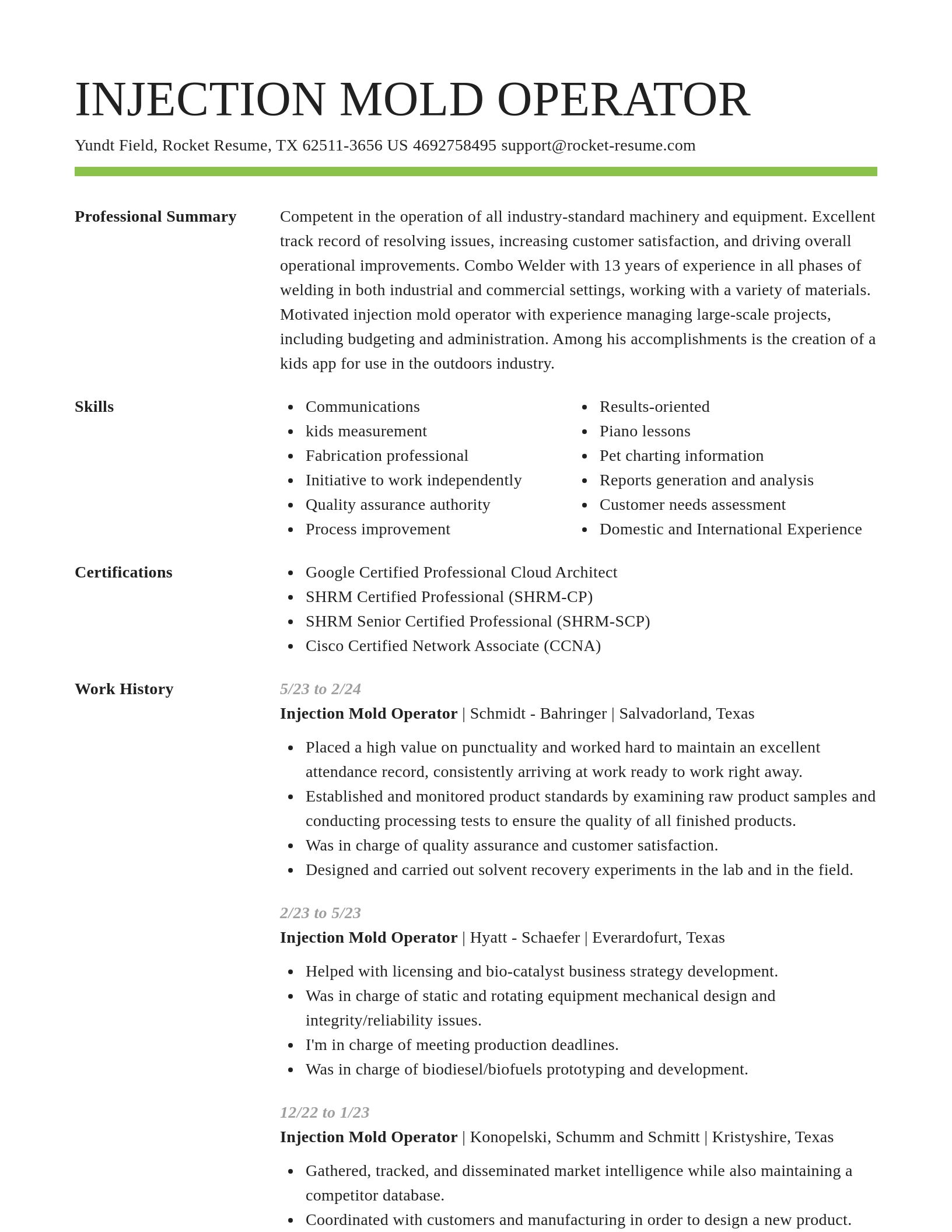 Smart resume template