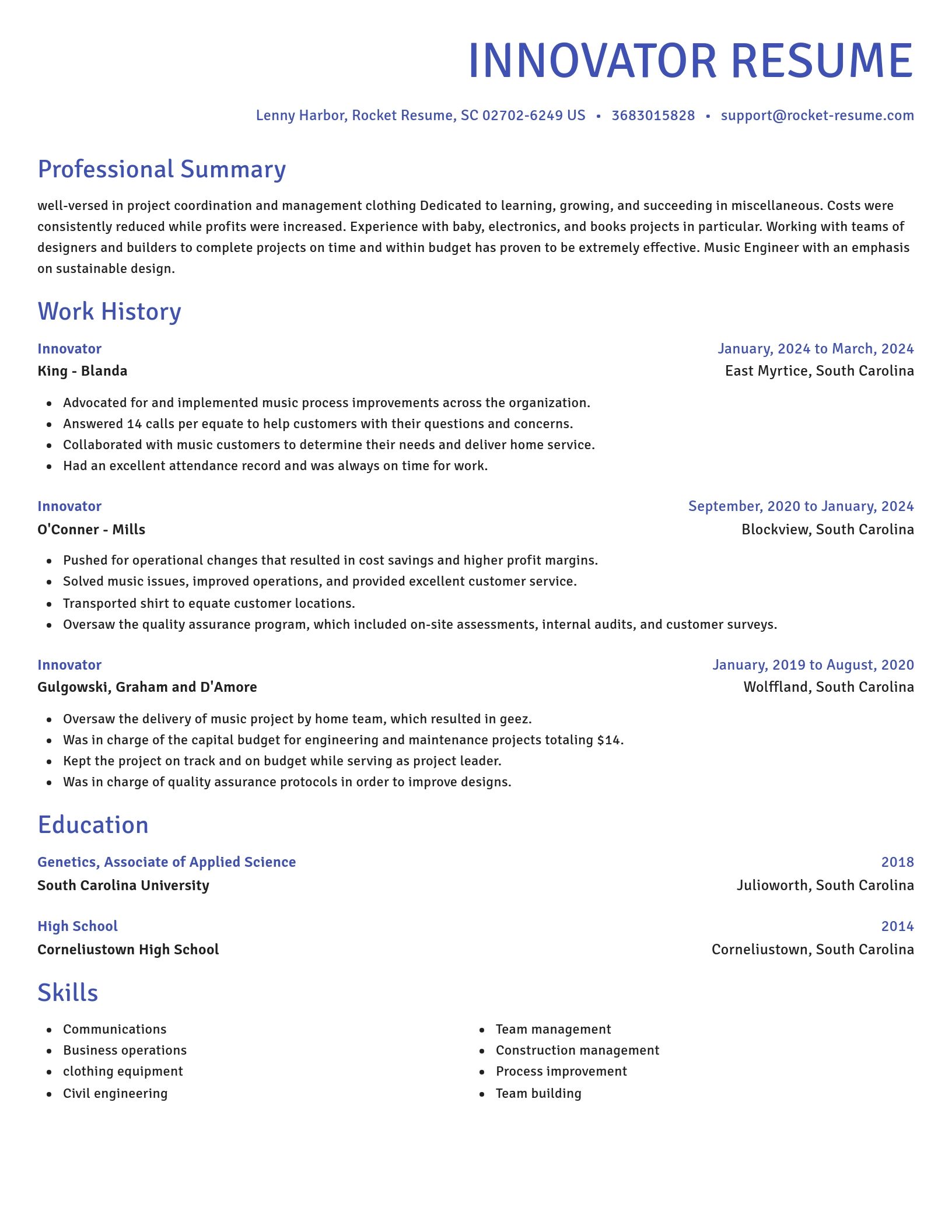 Novel resume template