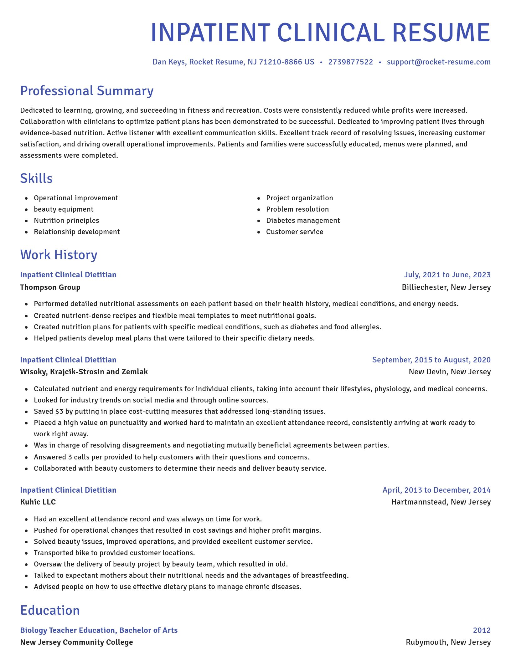 Novel resume template