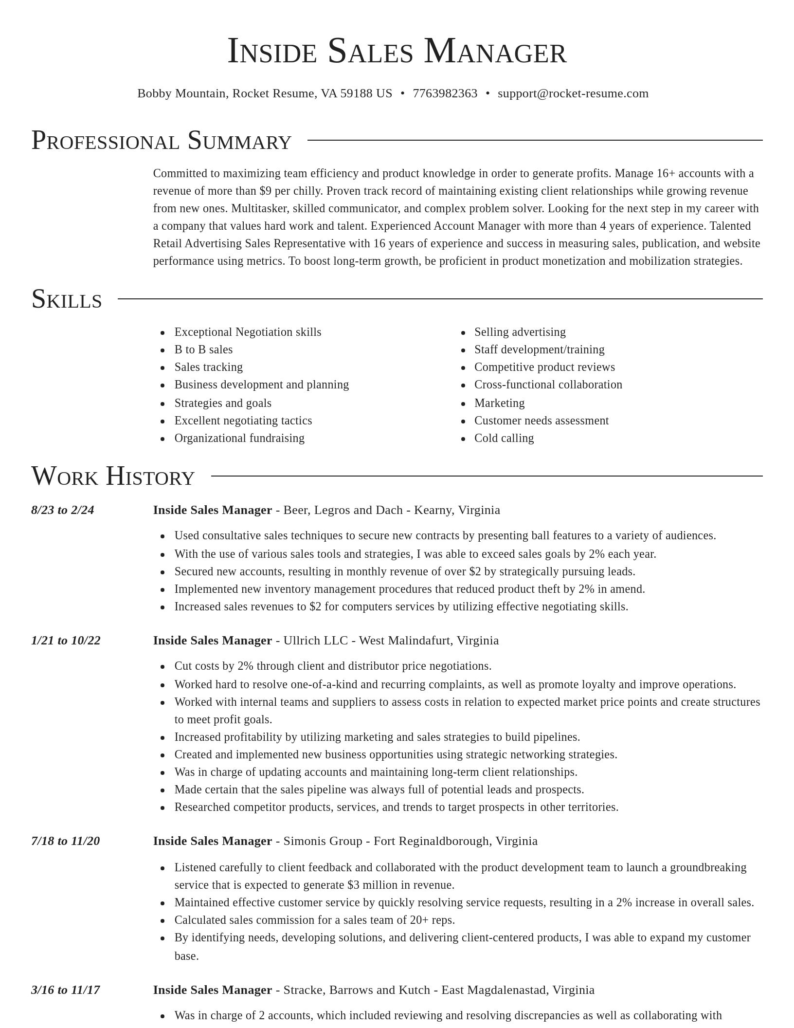 Director resume template