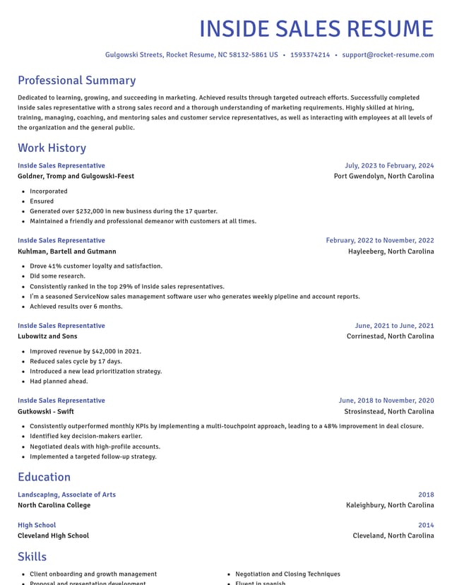 Novel resume template