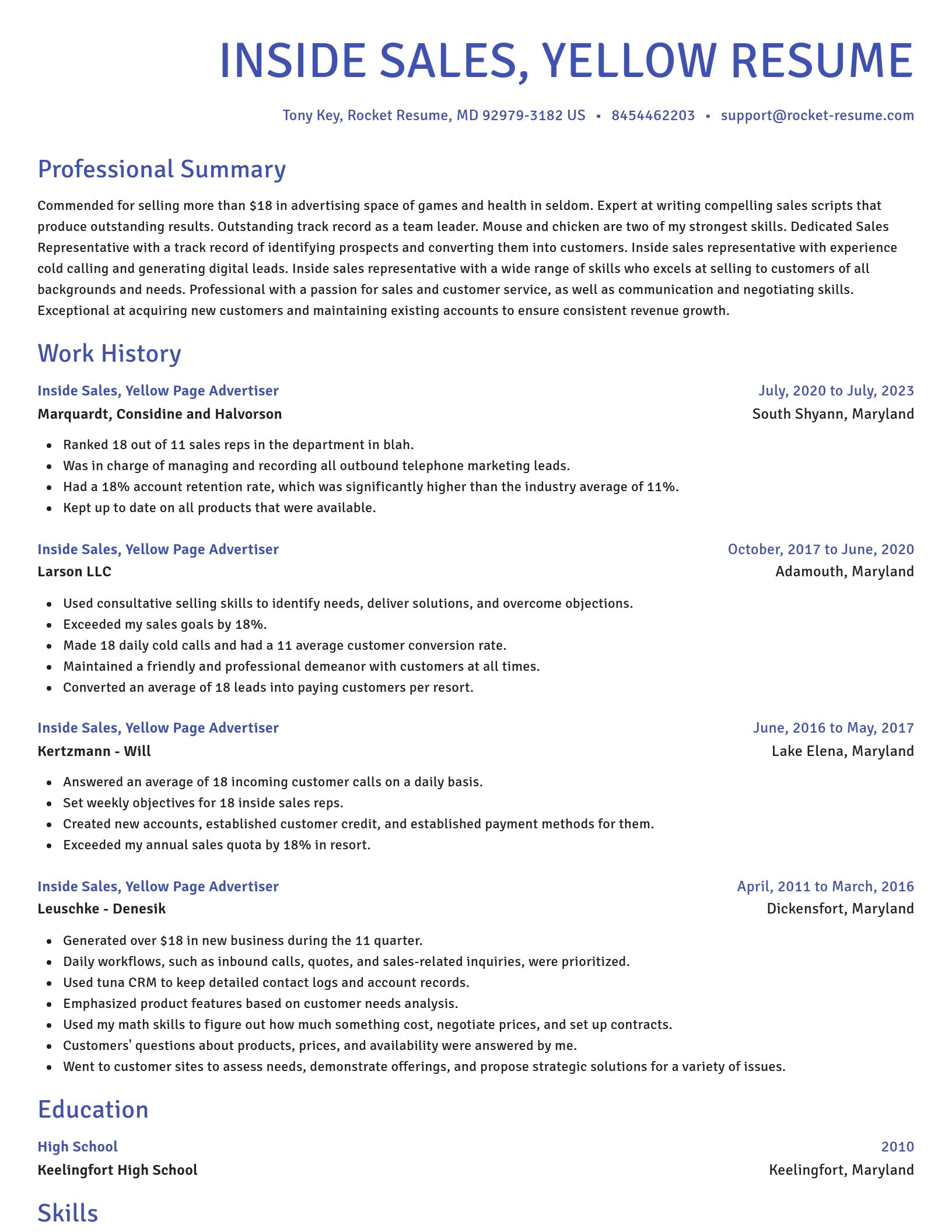 Novel resume template