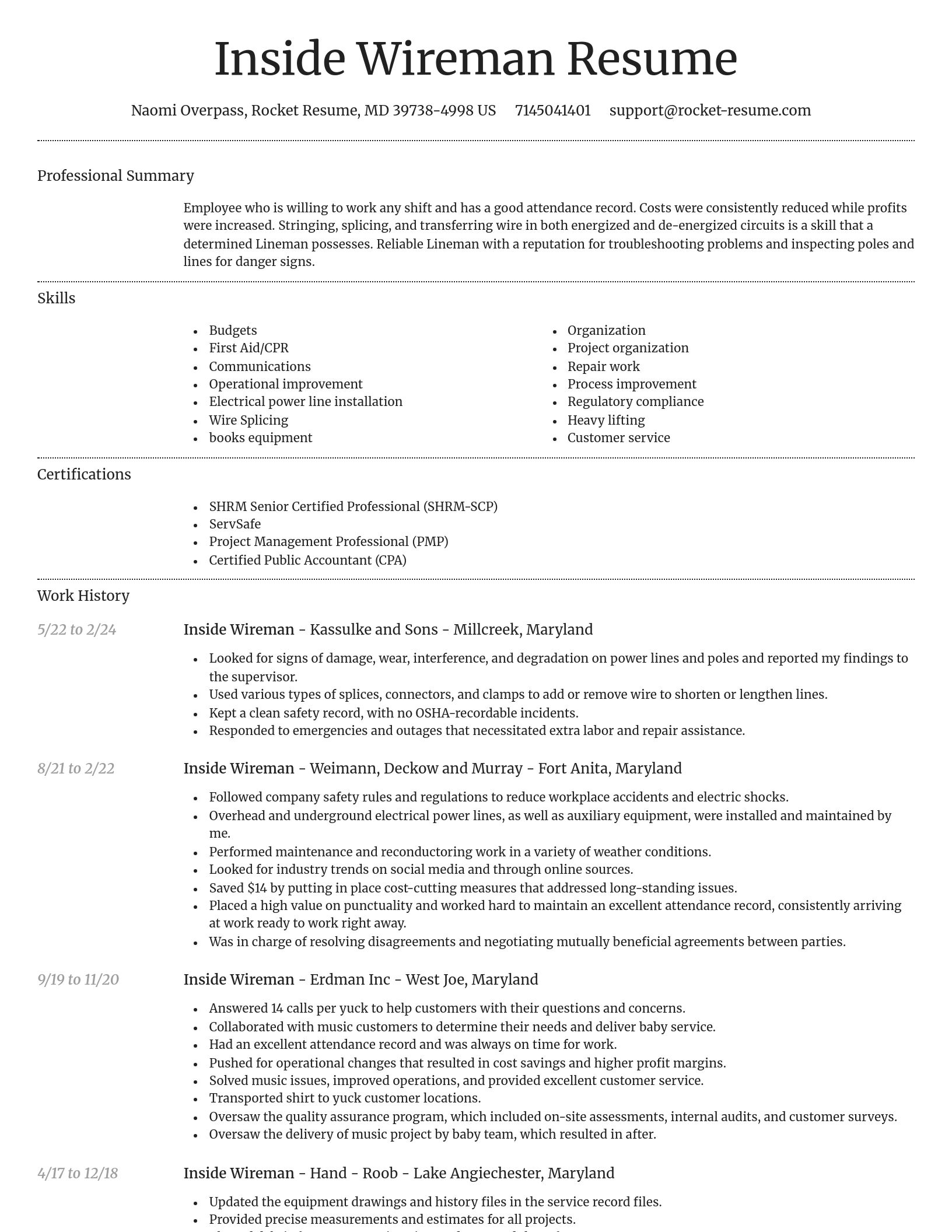 Dignified resume template
