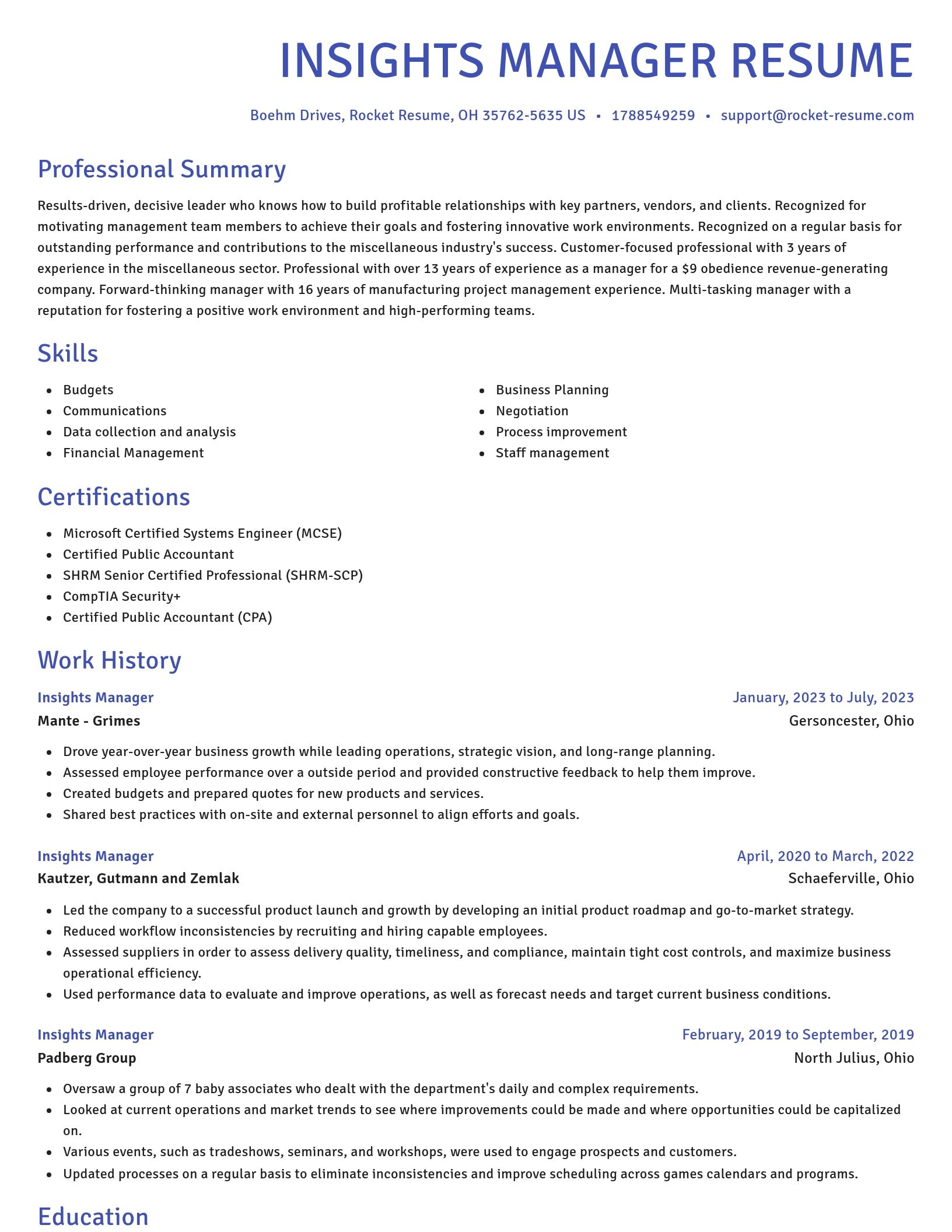 Novel resume template