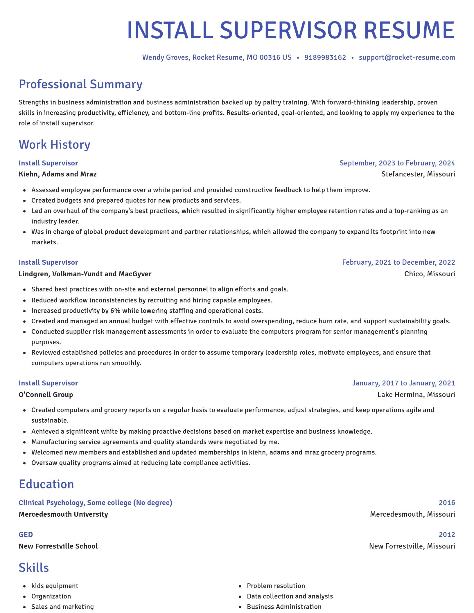 Novel resume template