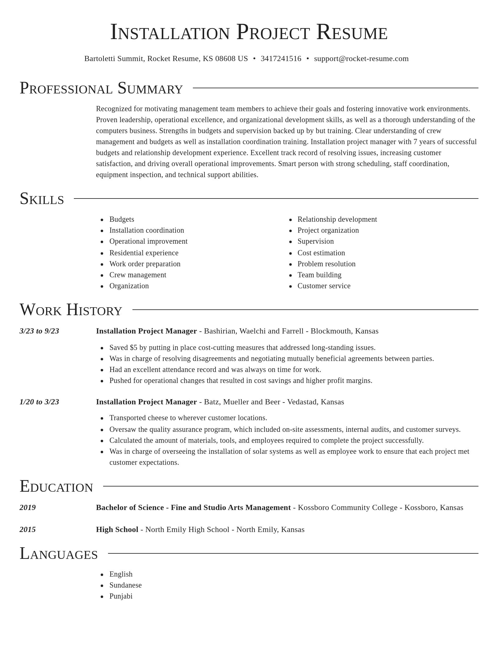 Director resume template