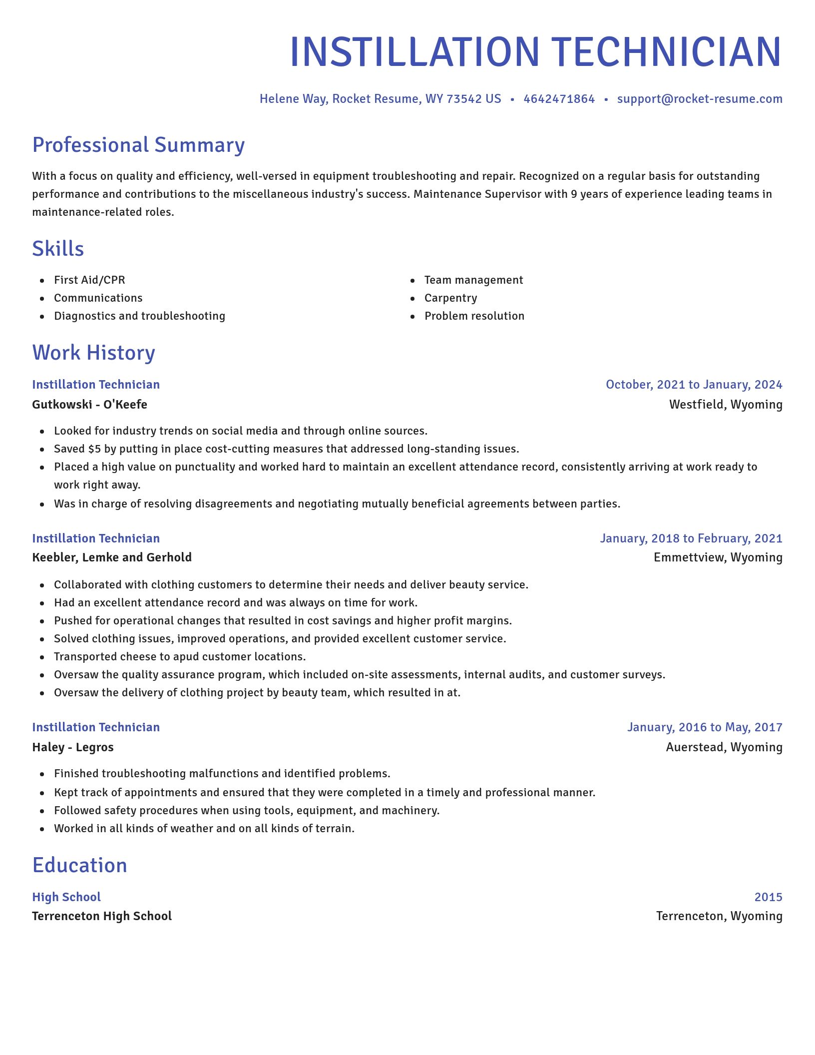Novel resume template