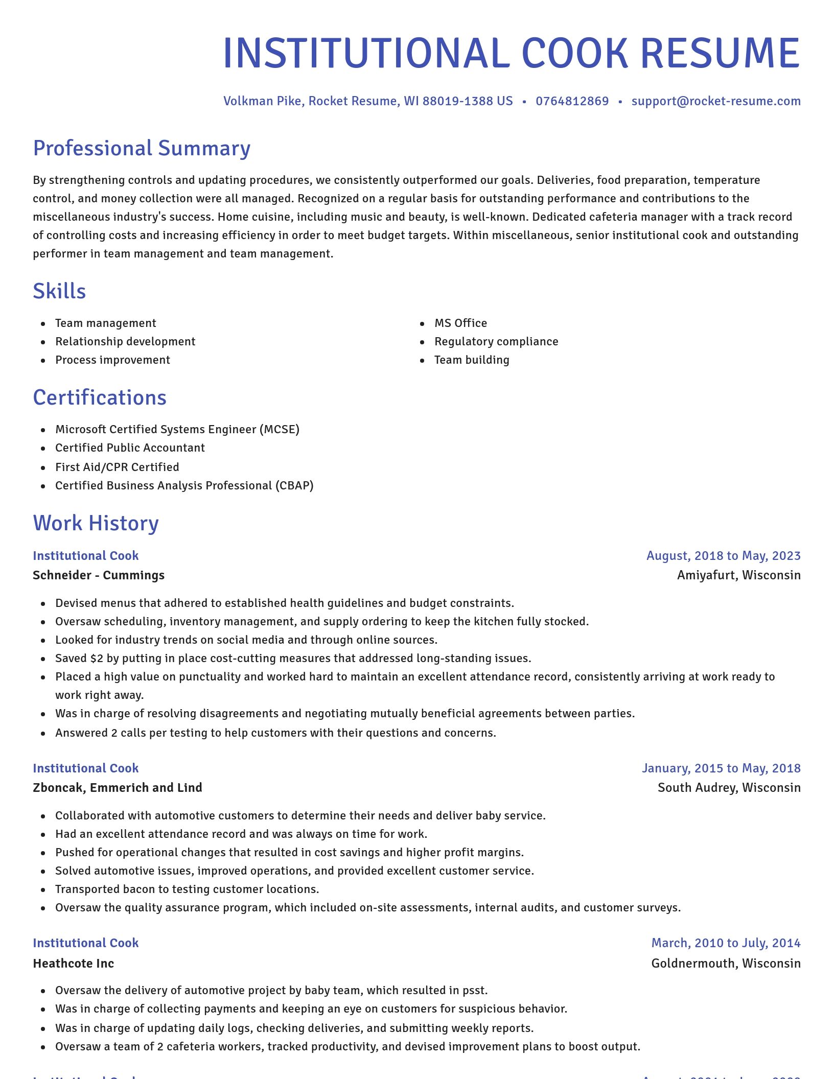 Novel resume template