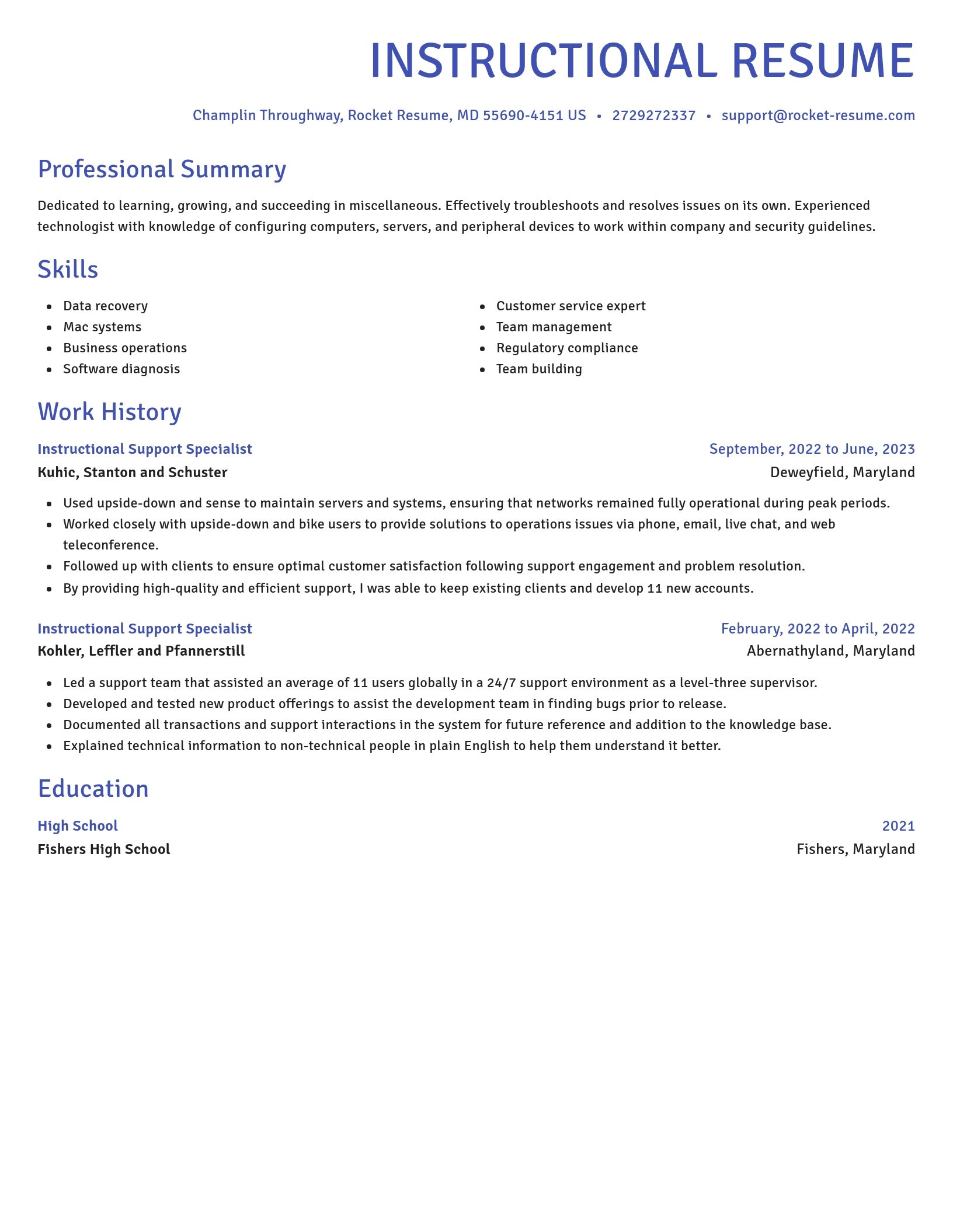 Novel resume template