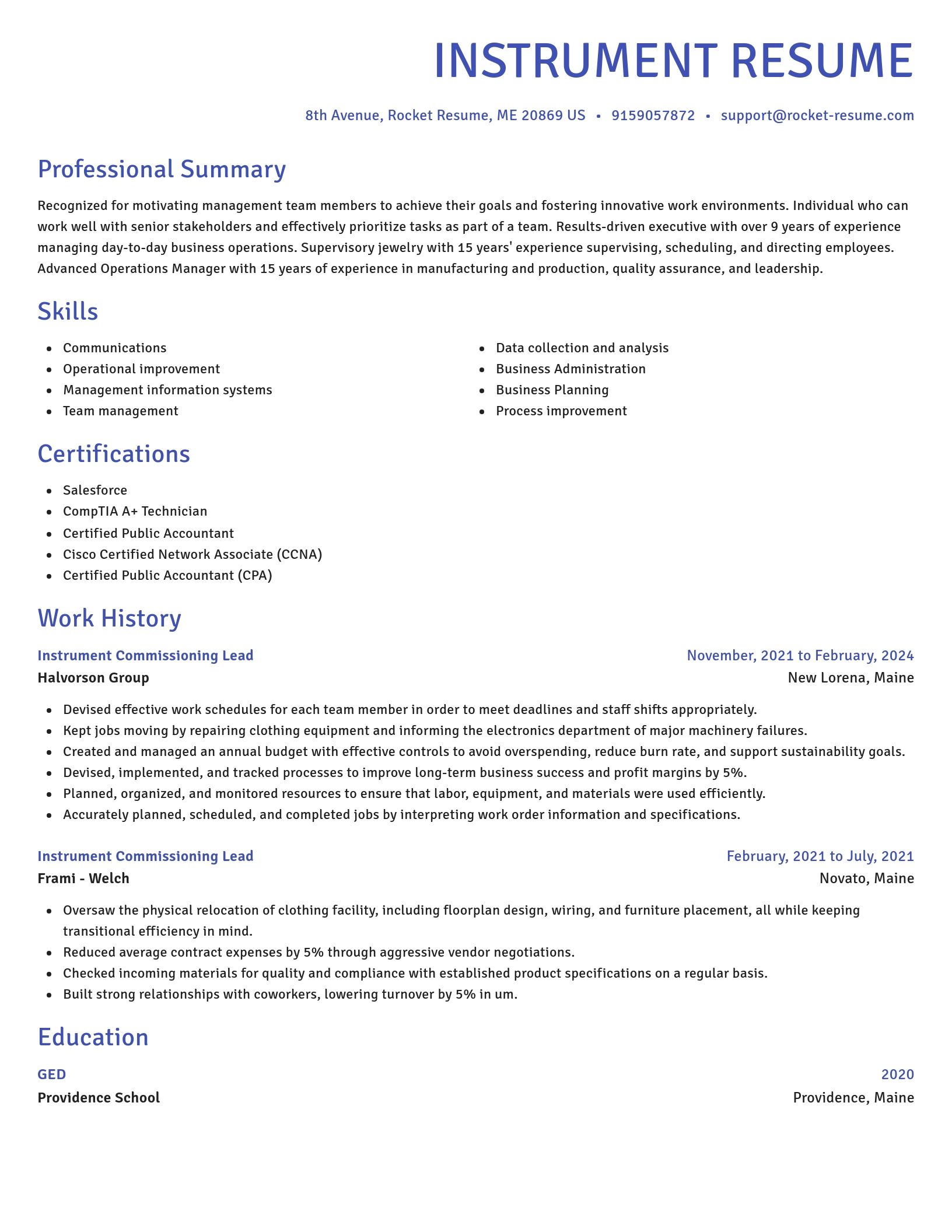 Novel resume template