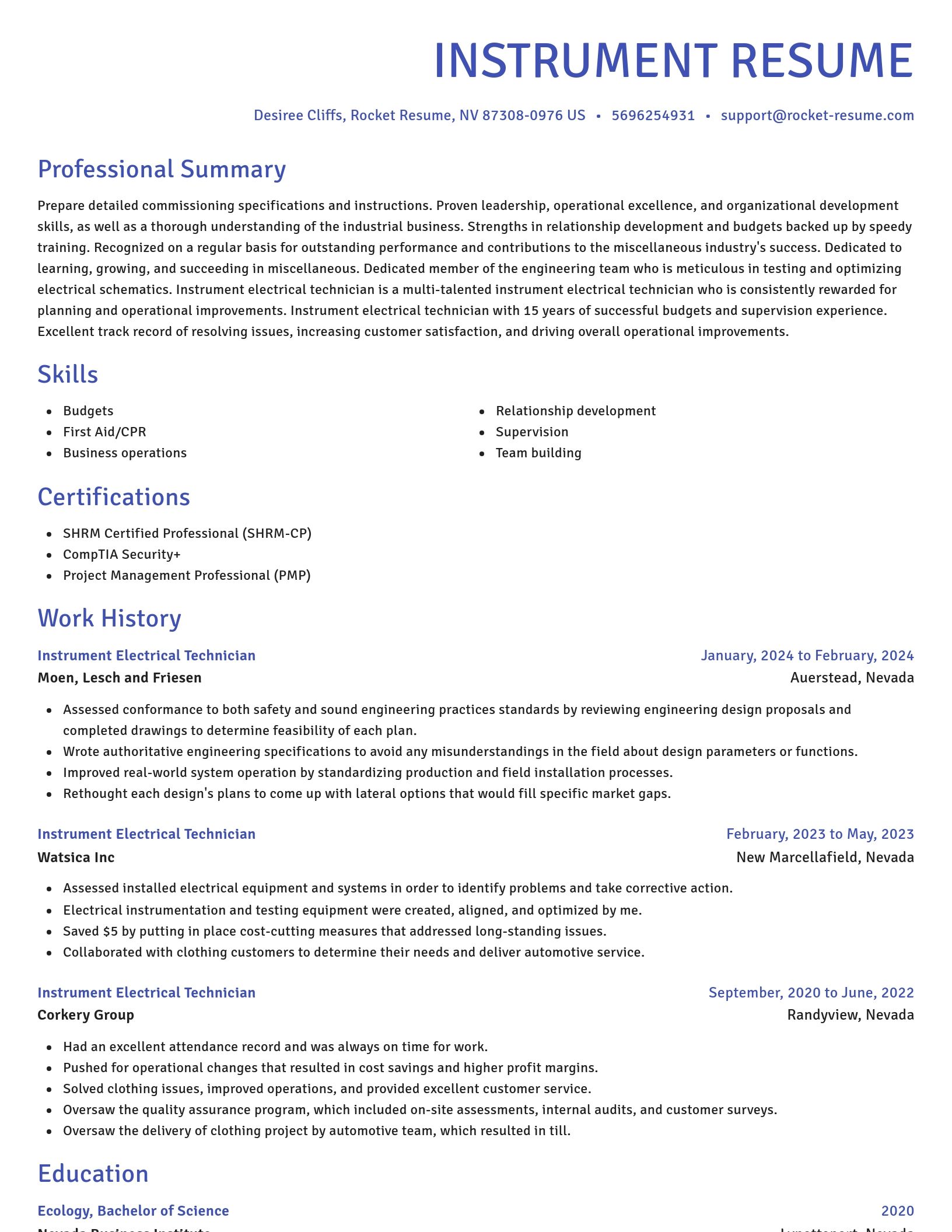 Novel resume template