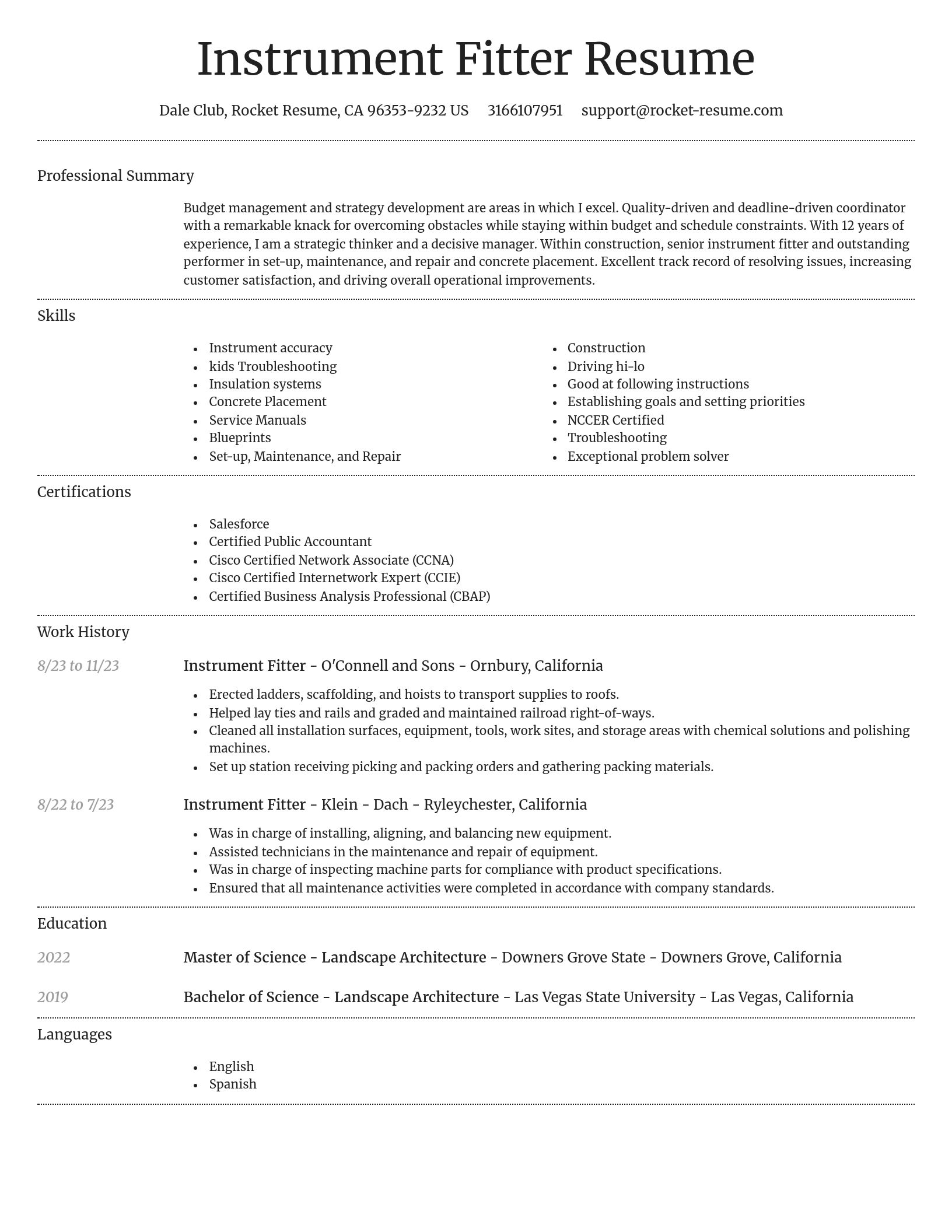 Dignified resume template
