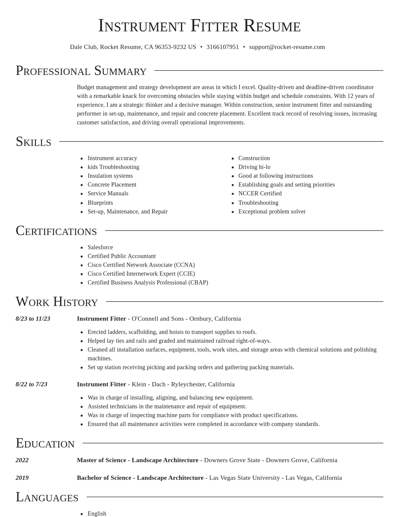 Director resume template